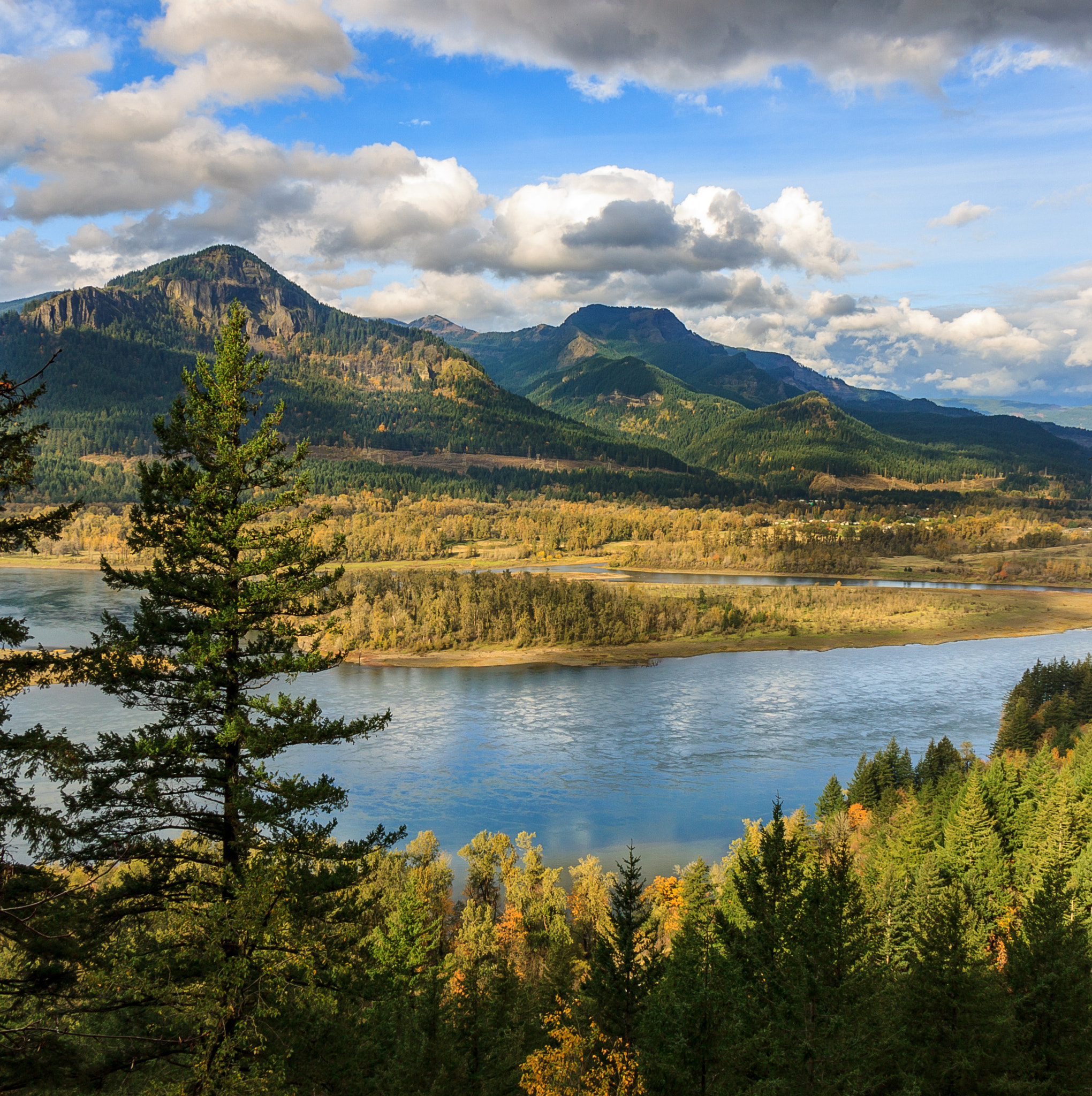Canon EOS 500D (EOS Rebel T1i / EOS Kiss X3) sample photo. Looking over the columbia river gorge photography