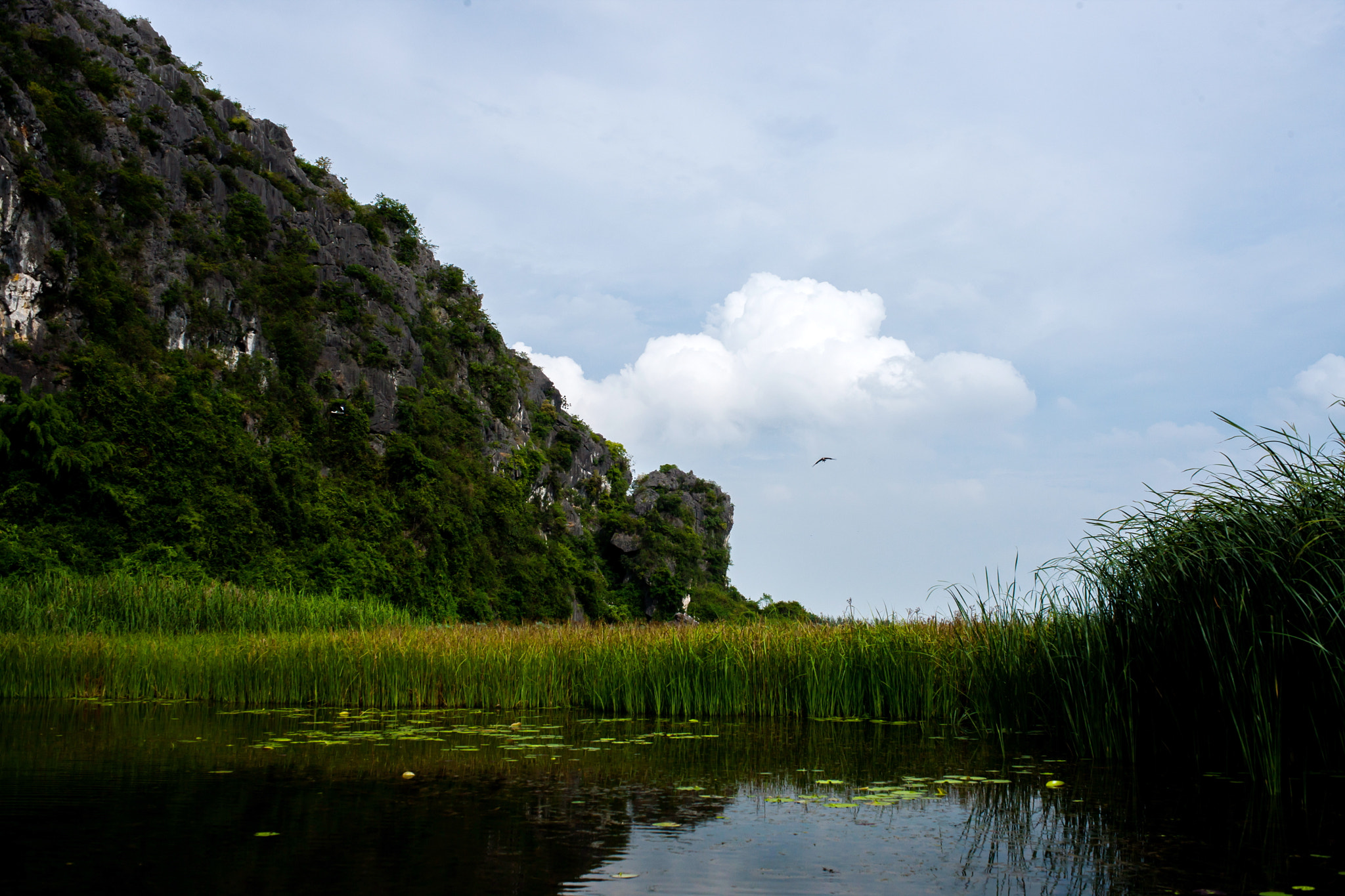 Canon EOS-1Ds Mark III sample photo. Alone 10 photography