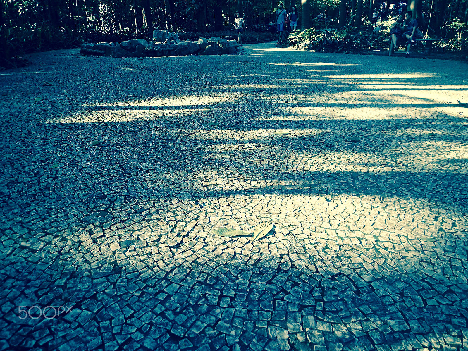 Olympus TG-2 sample photo. The path is wide photography