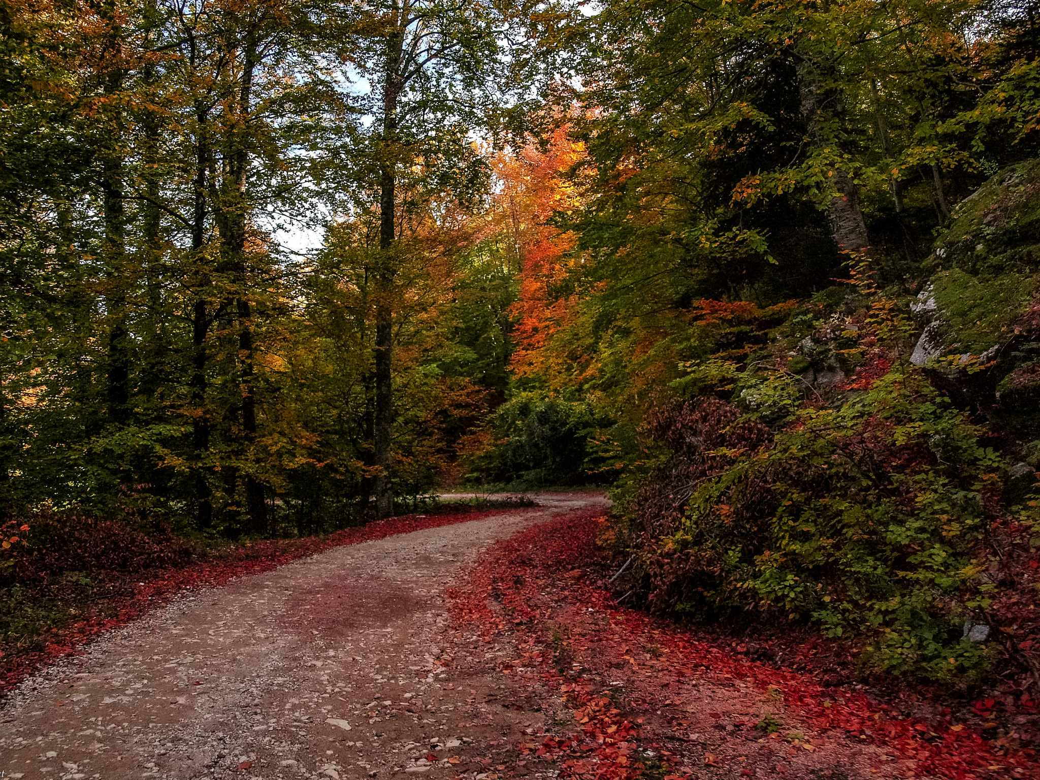 Olympus E-520 (EVOLT E-520) + OLYMPUS 14-42mm Lens sample photo. Autumn days... photography