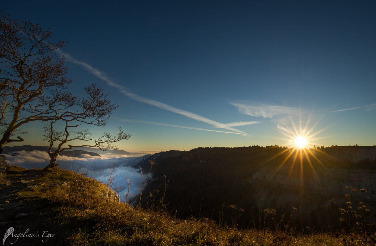 16-35mm F4 G SSM OSS sample photo. *jura*ssic morning star photography