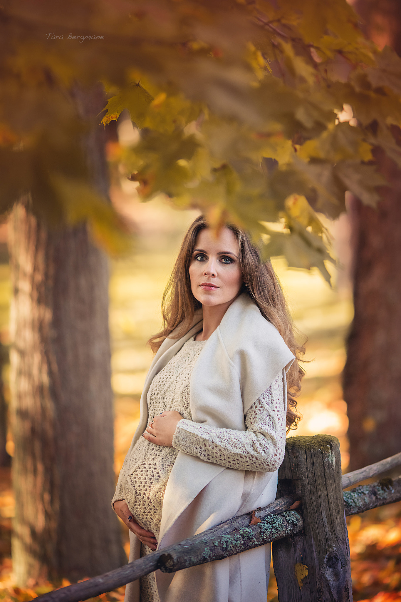 Canon EOS 5DS + Canon EF 135mm F2L USM sample photo. Autumn photography