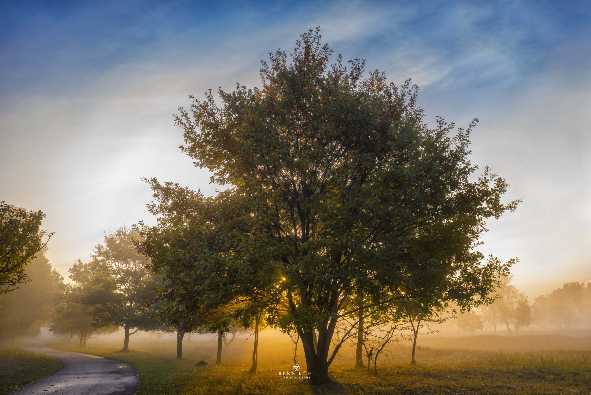 Sony a7R sample photo. Bbd allee photography