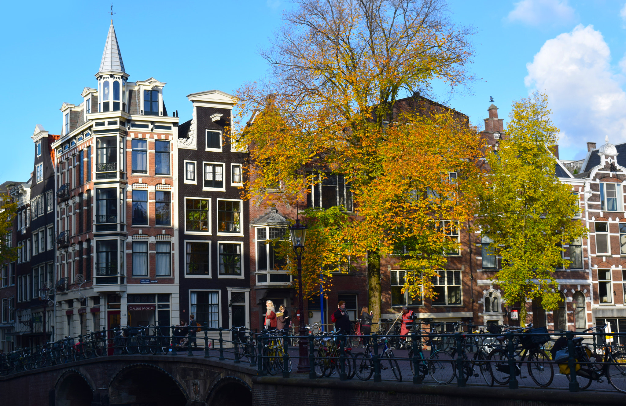 Nikon D3300 + Sigma 50-100mm F1.8 DC HSM Art sample photo. Autumn in amsterdam photography