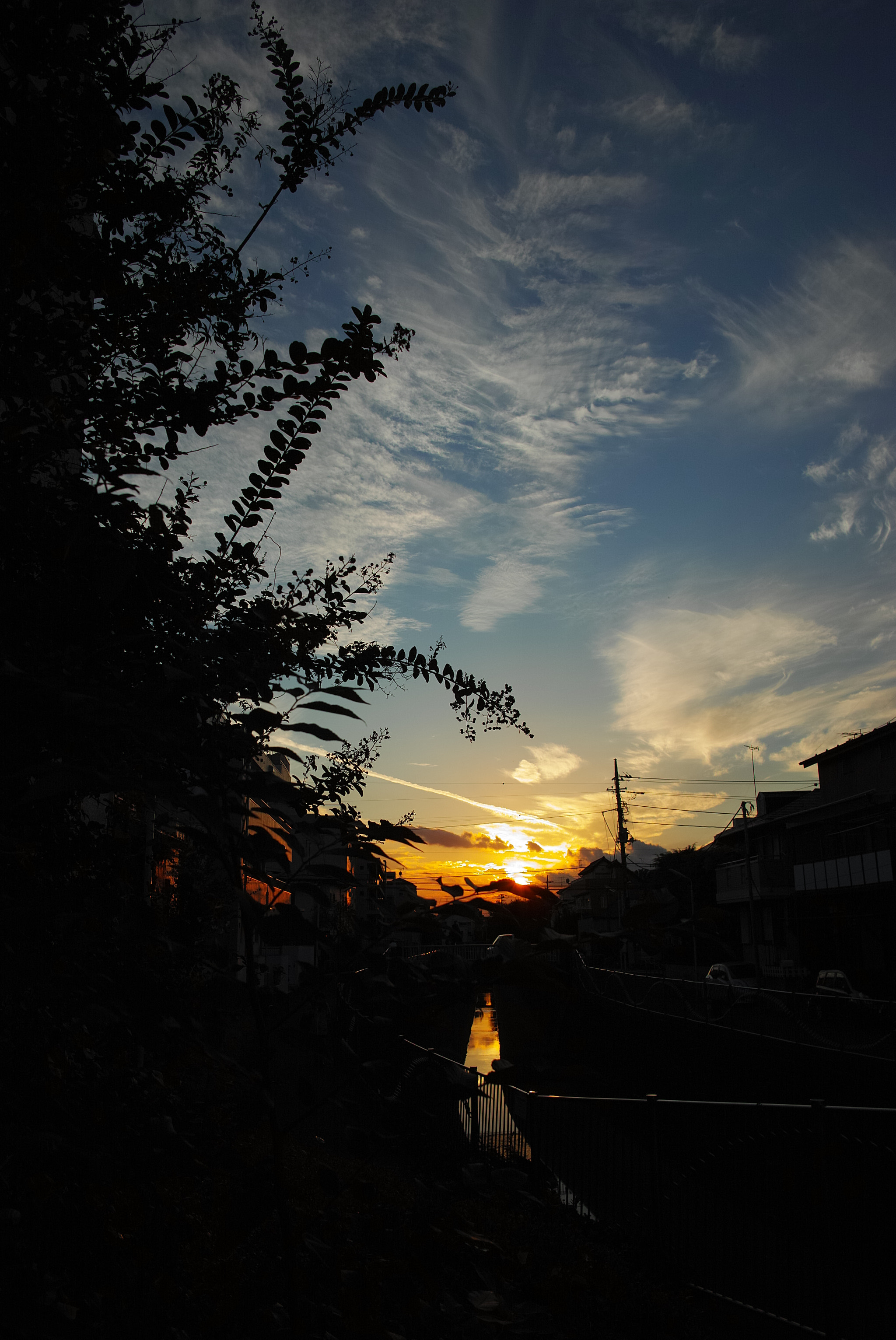 Sigma dp1 Quattro sample photo. Sunset above the river photography