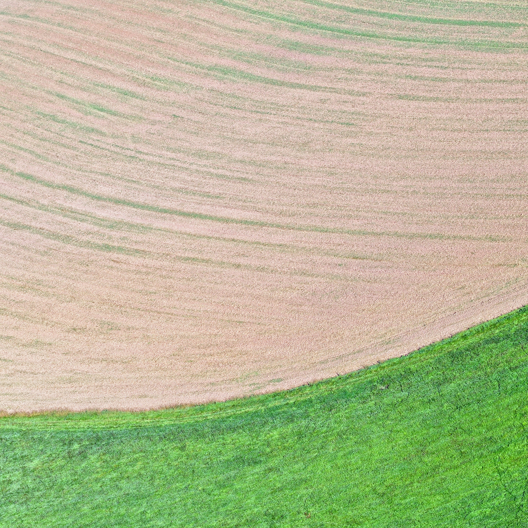 Nikon D300 + Nikon AF-S Nikkor 85mm F1.8G sample photo. Field abstraction i photography