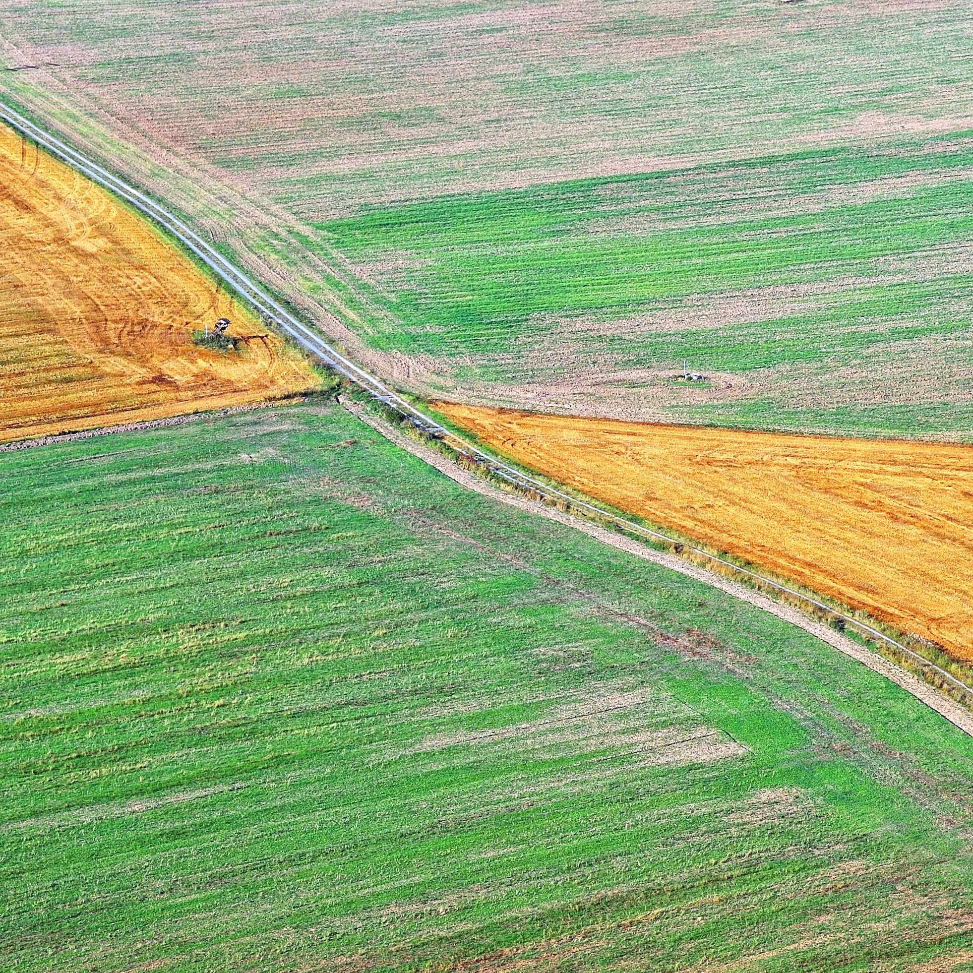 Nikon D300 + Nikon AF-S Nikkor 85mm F1.8G sample photo. Field abstraction ii photography