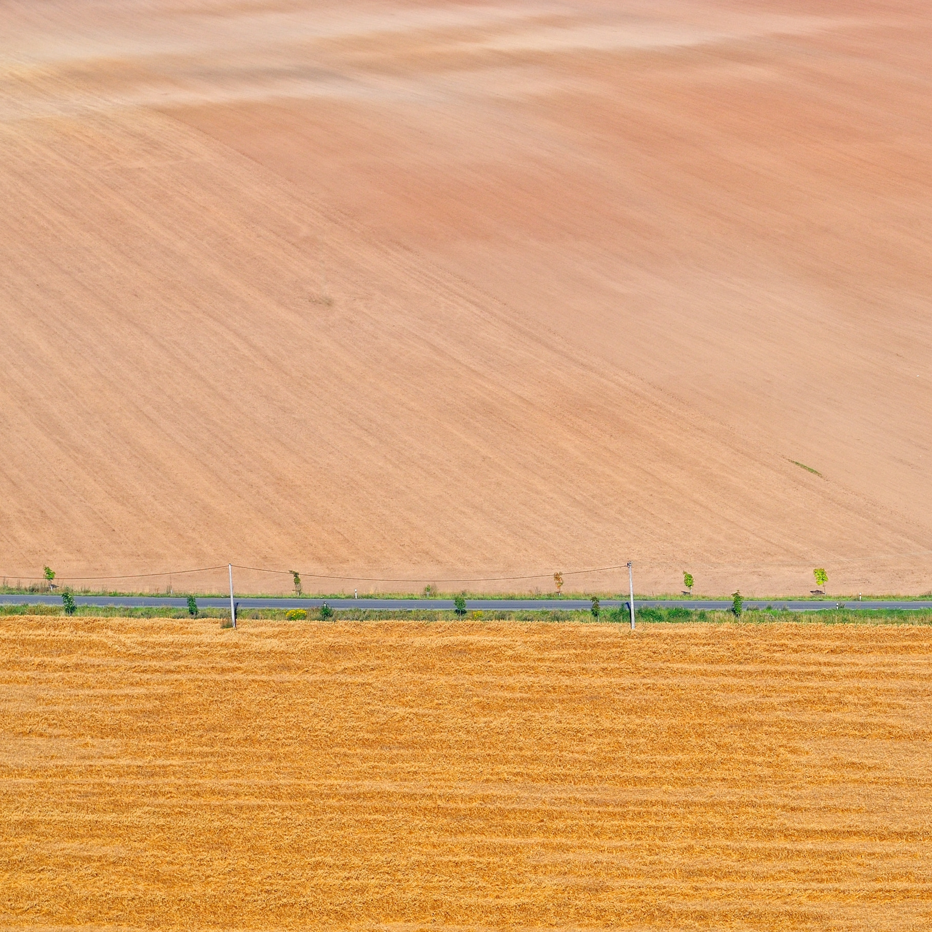 Nikon D300 + Nikon AF-S Nikkor 85mm F1.8G sample photo. Field abstraction iv photography