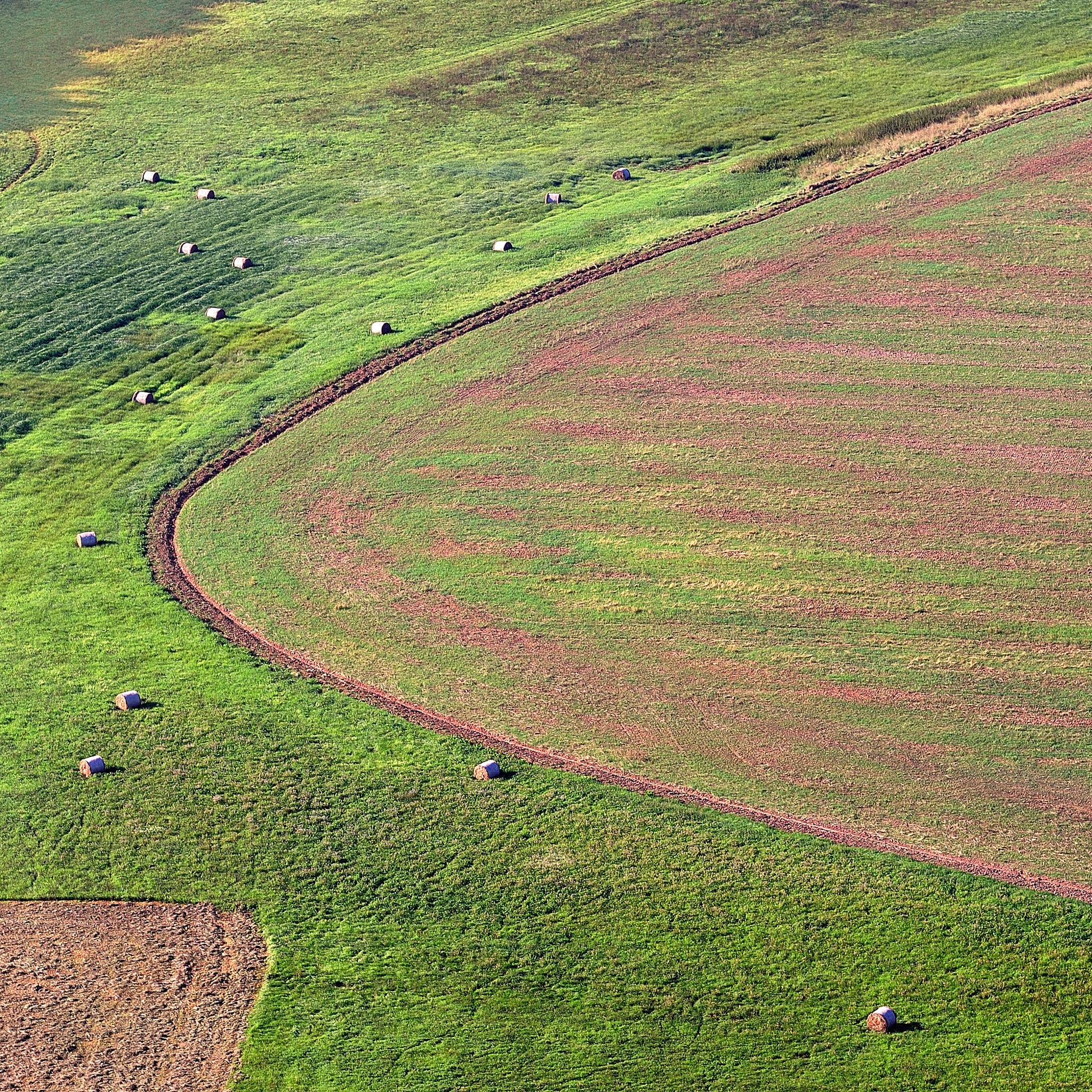 Nikon D300 + Nikon AF-S Nikkor 85mm F1.8G sample photo. Field abstraction iii photography