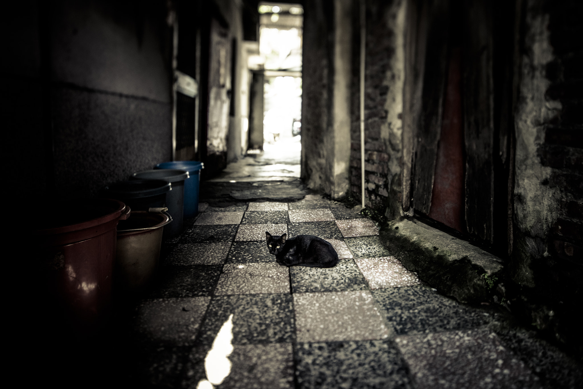 Canon TS-E 17mm F4L Tilt-Shift sample photo