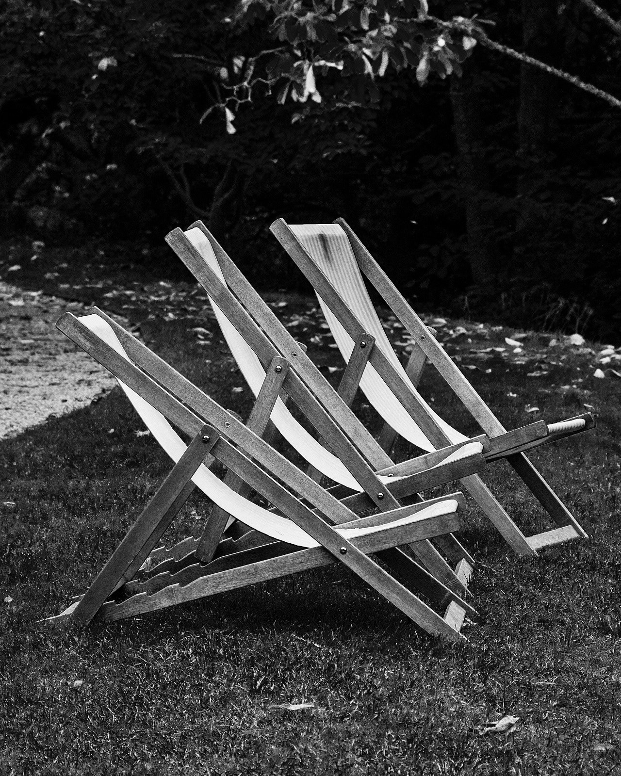 Nikon D3 sample photo. The last days of summer photography