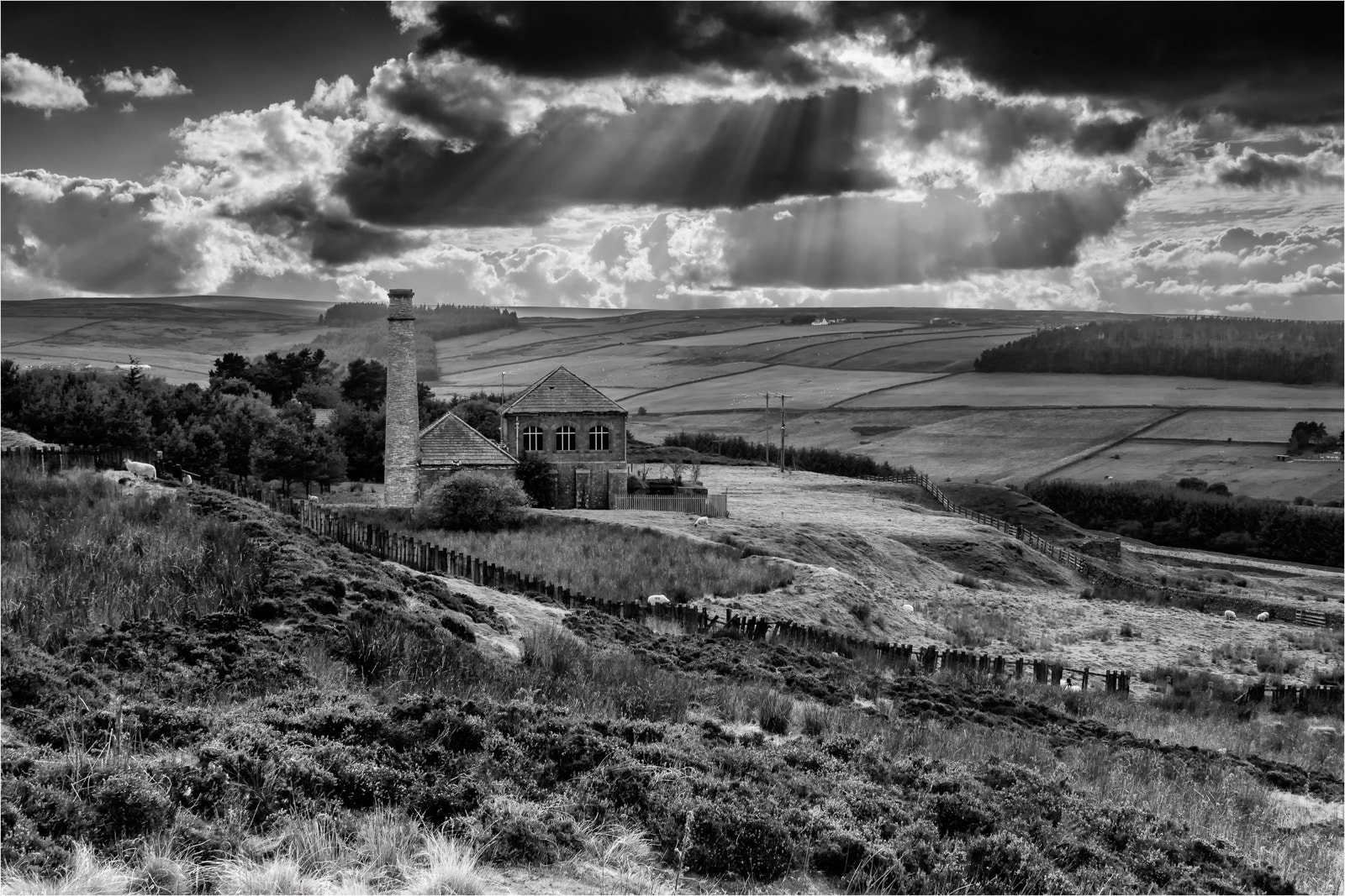 Sony SLT-A77 sample photo. Old pump house - june photography