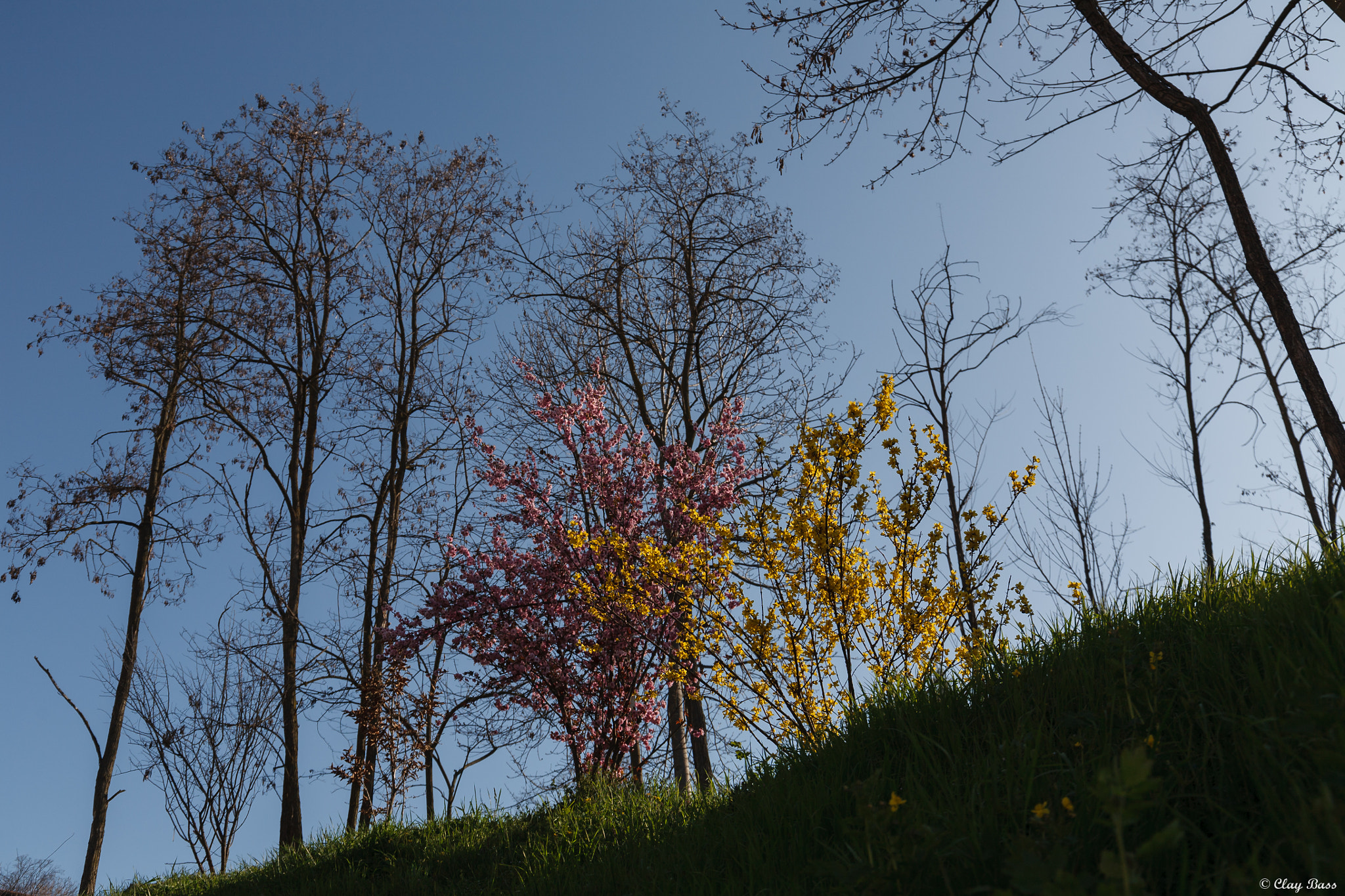 Canon EF 24-105mm F3.5-5.6 IS STM sample photo. Come se mi avessero sepolto qui photography