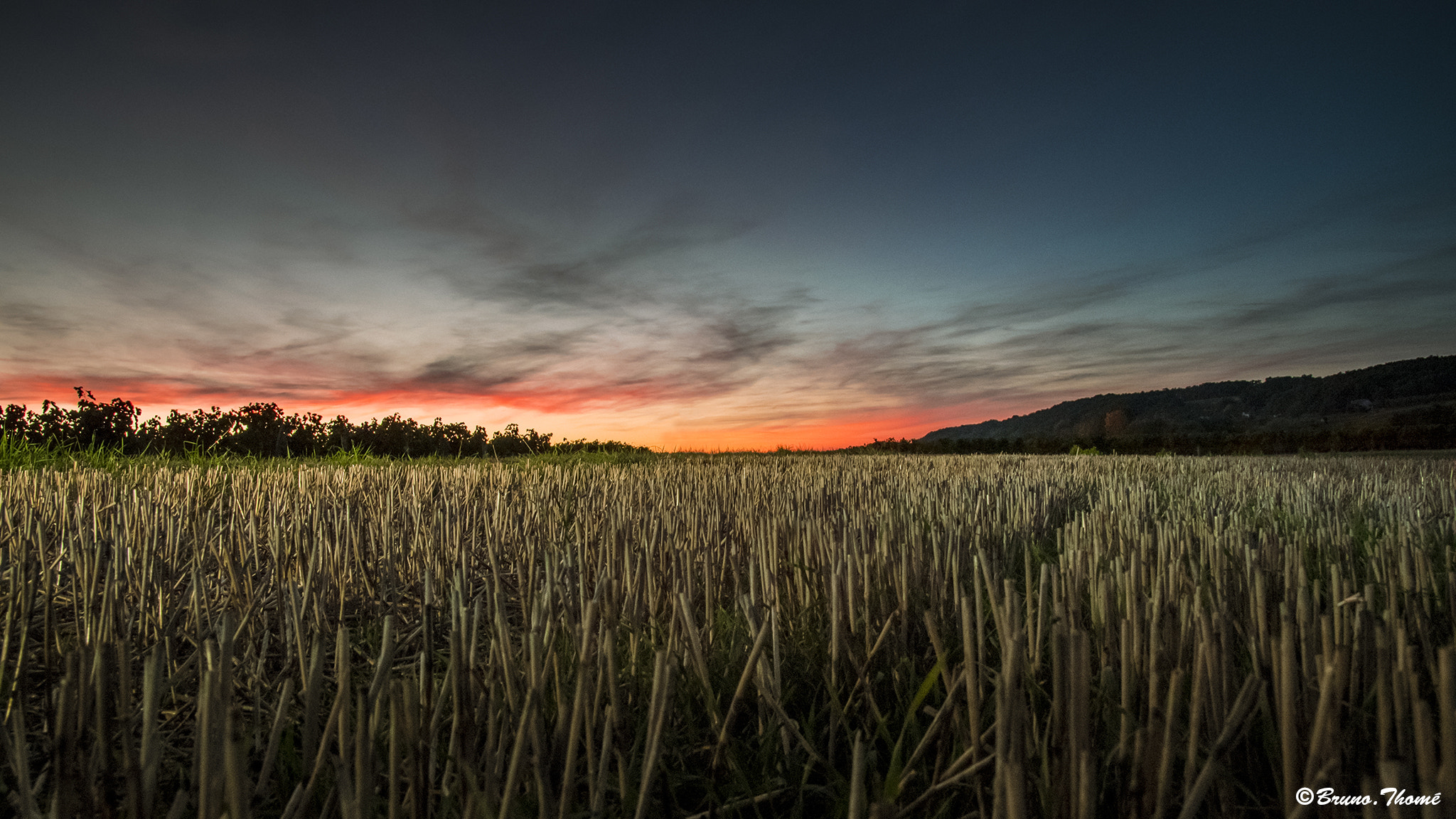 Sigma 17-50mm F2.8 EX DC HSM sample photo. Sunset photography