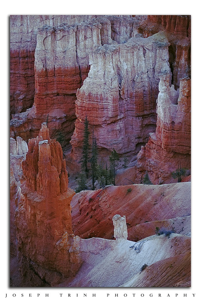 Canon EOS-1D X + Canon EF 70-200mm F4L USM sample photo. From the hike down sunrise point, bryce canyon national monument. photography