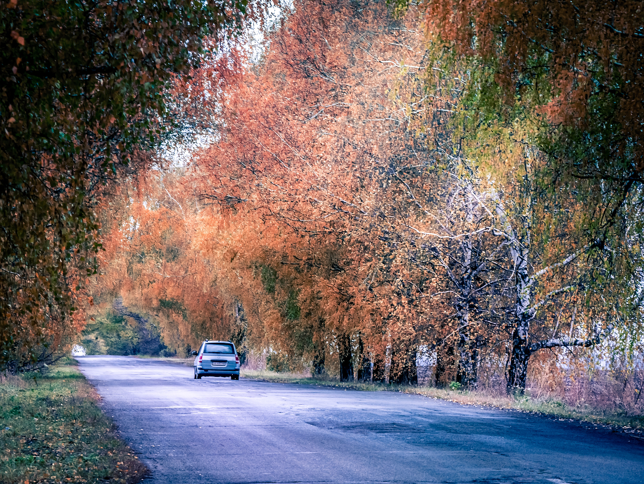 Panasonic Lumix DMC-GX7 sample photo. The road to the house photography
