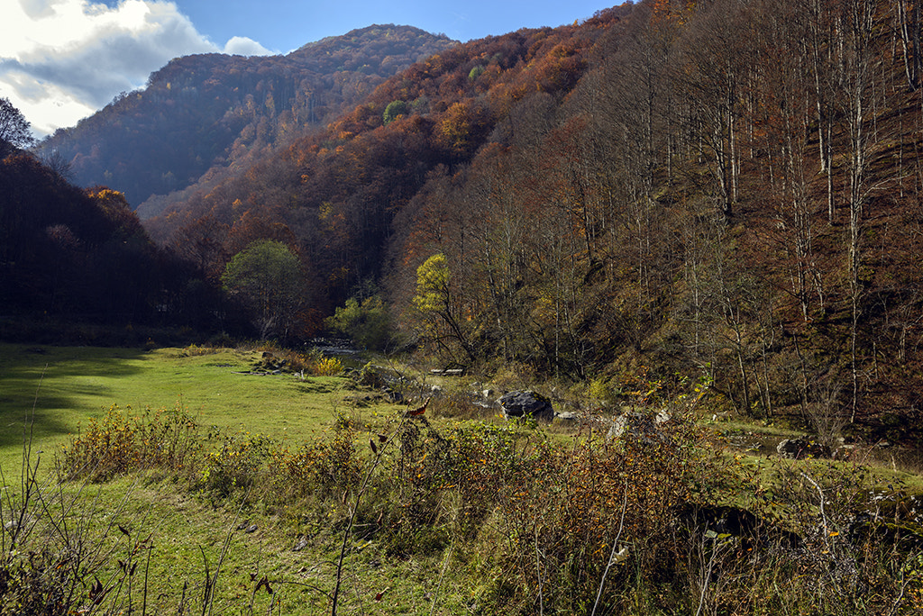 Nikon AF-S Nikkor 17-35mm F2.8D ED-IF sample photo. Dea photography