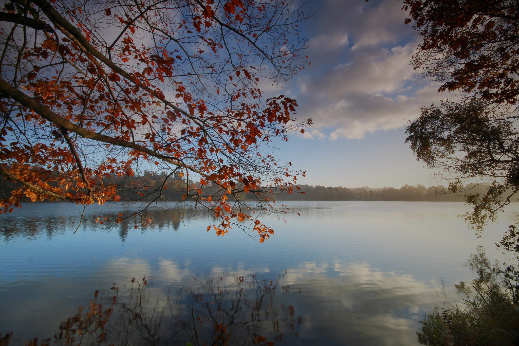 Canon EOS 1300D (EOS Rebel T6 / EOS Kiss X80) + Sigma 10-20mm F4-5.6 EX DC HSM sample photo. Virginia water04 photography