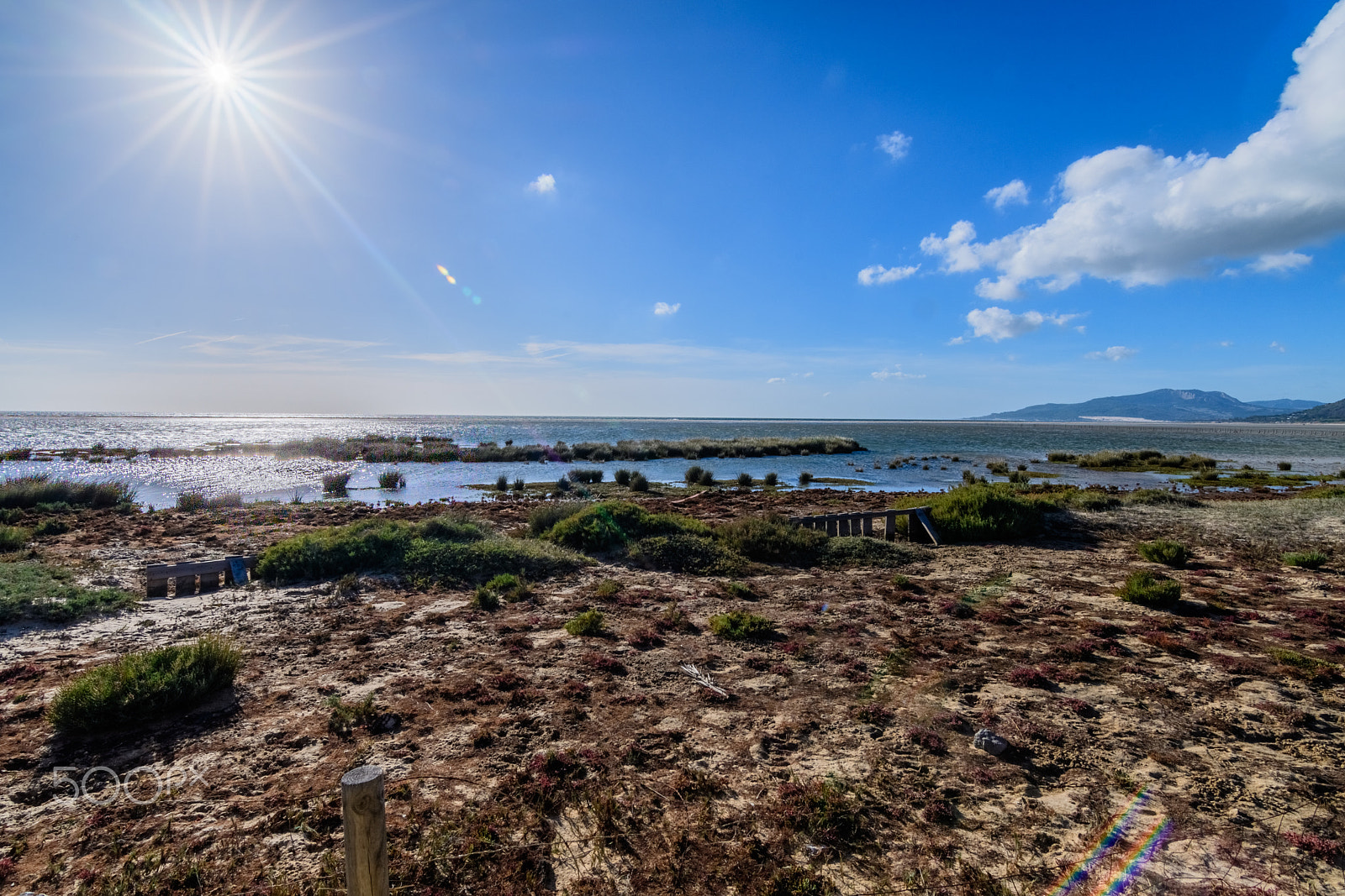 Nikon D500 sample photo. Playa de los lances, tarifa photography