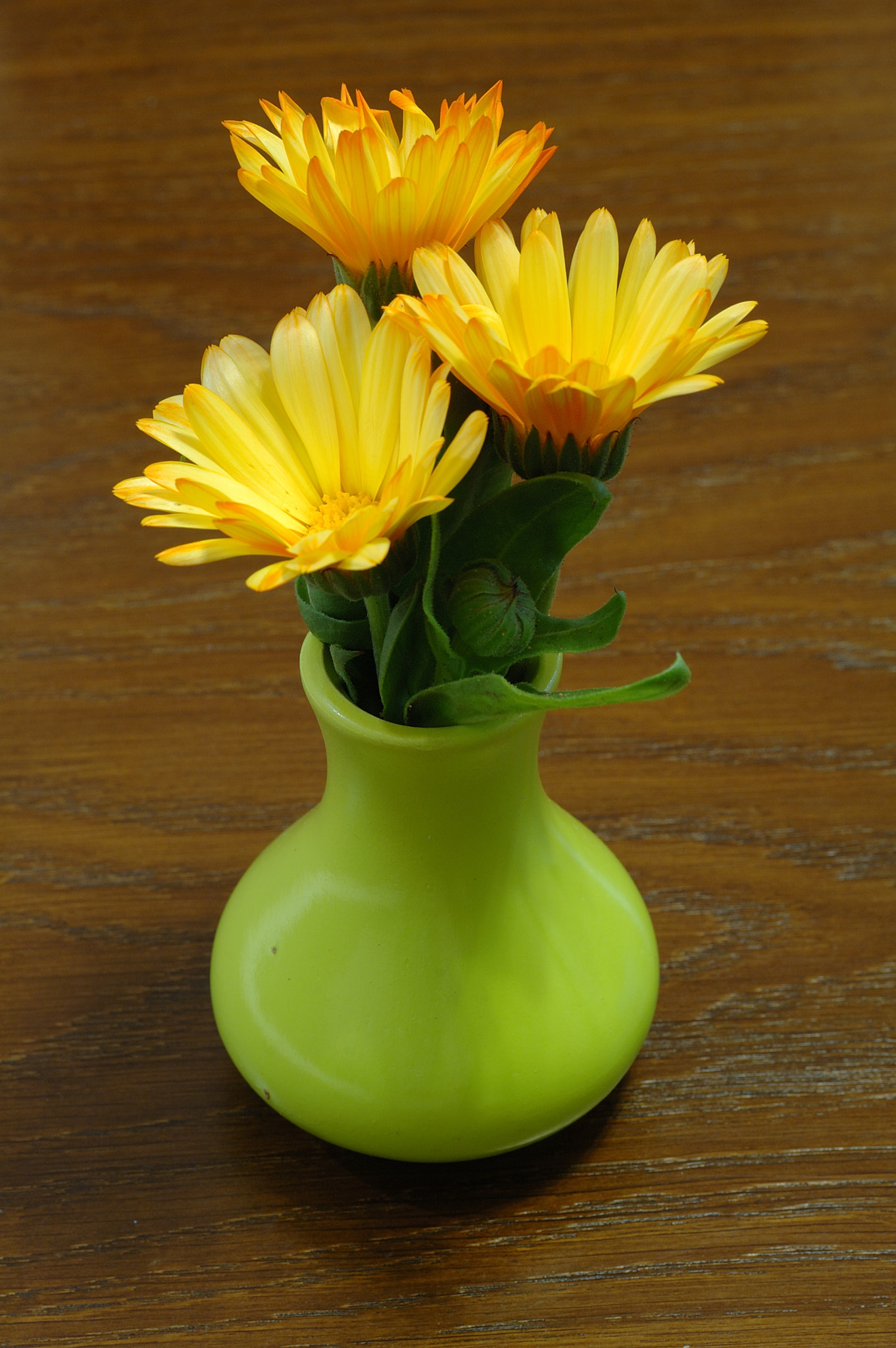 Nikon D70s sample photo. Yellow flowers photography