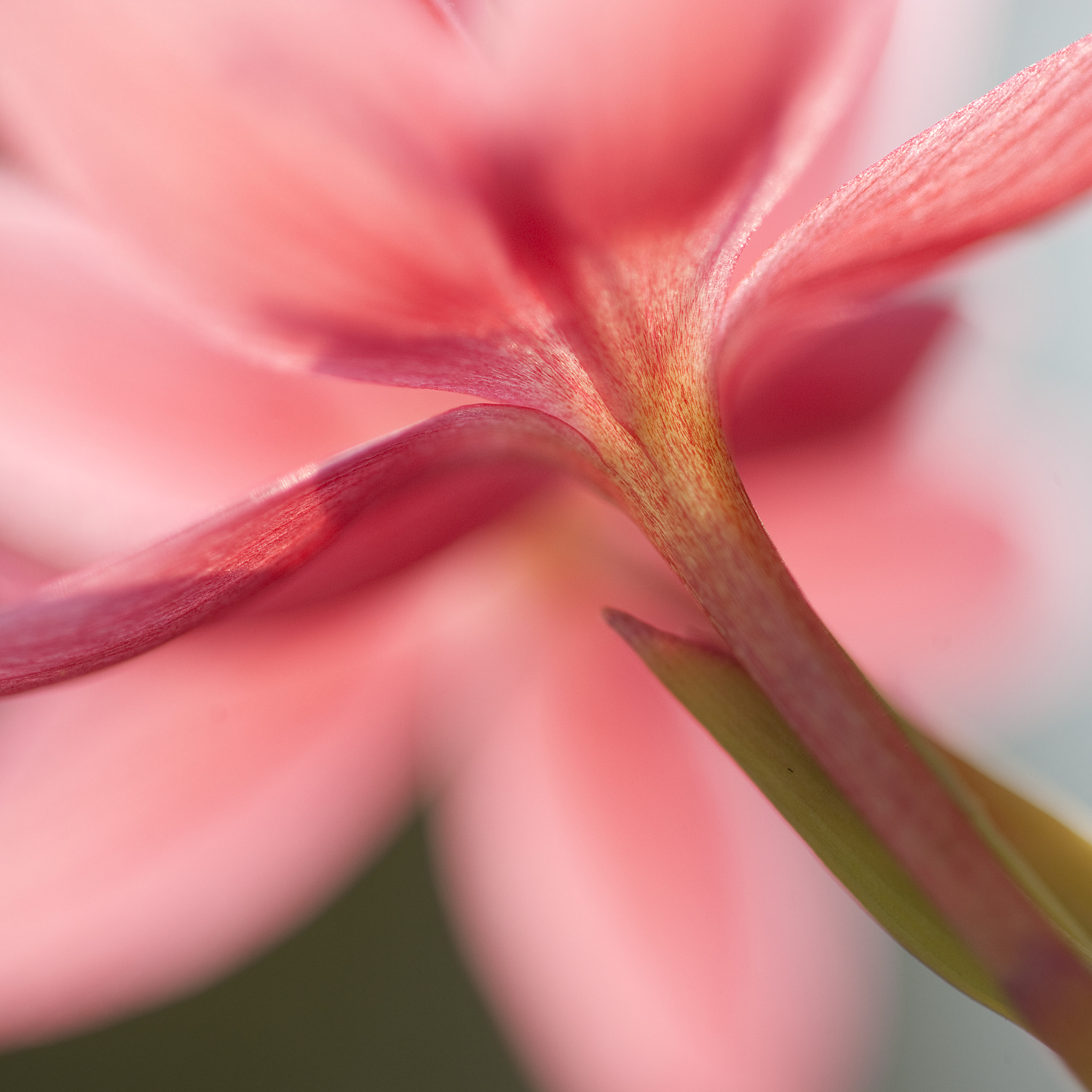 Nikon D3 sample photo. Onlycolors photography