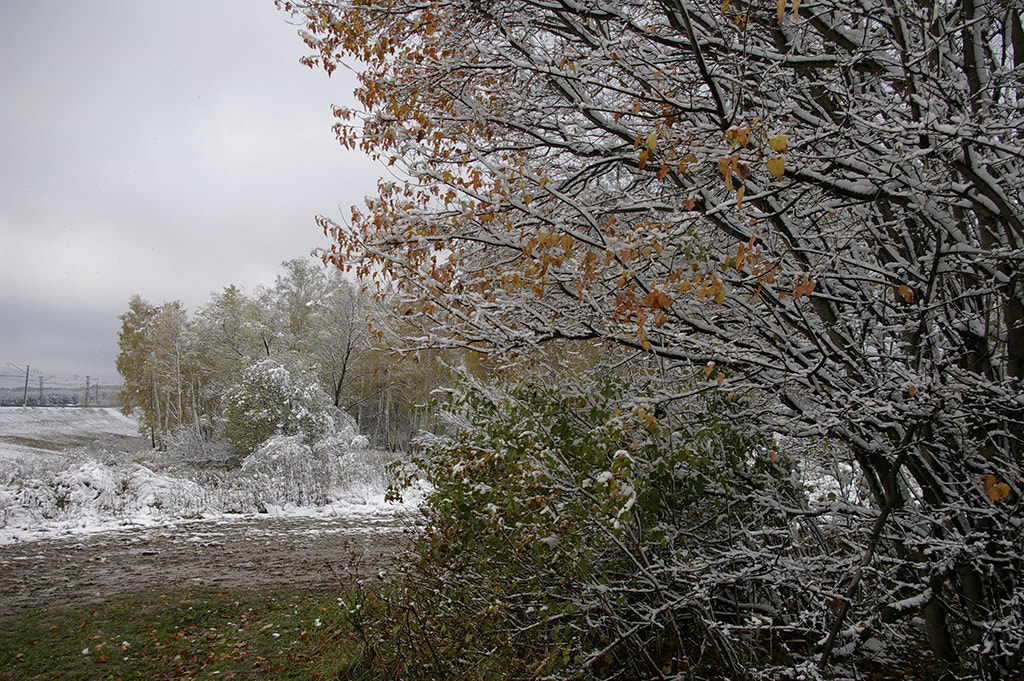 Pentax K110D sample photo. Snow in oktober. photography