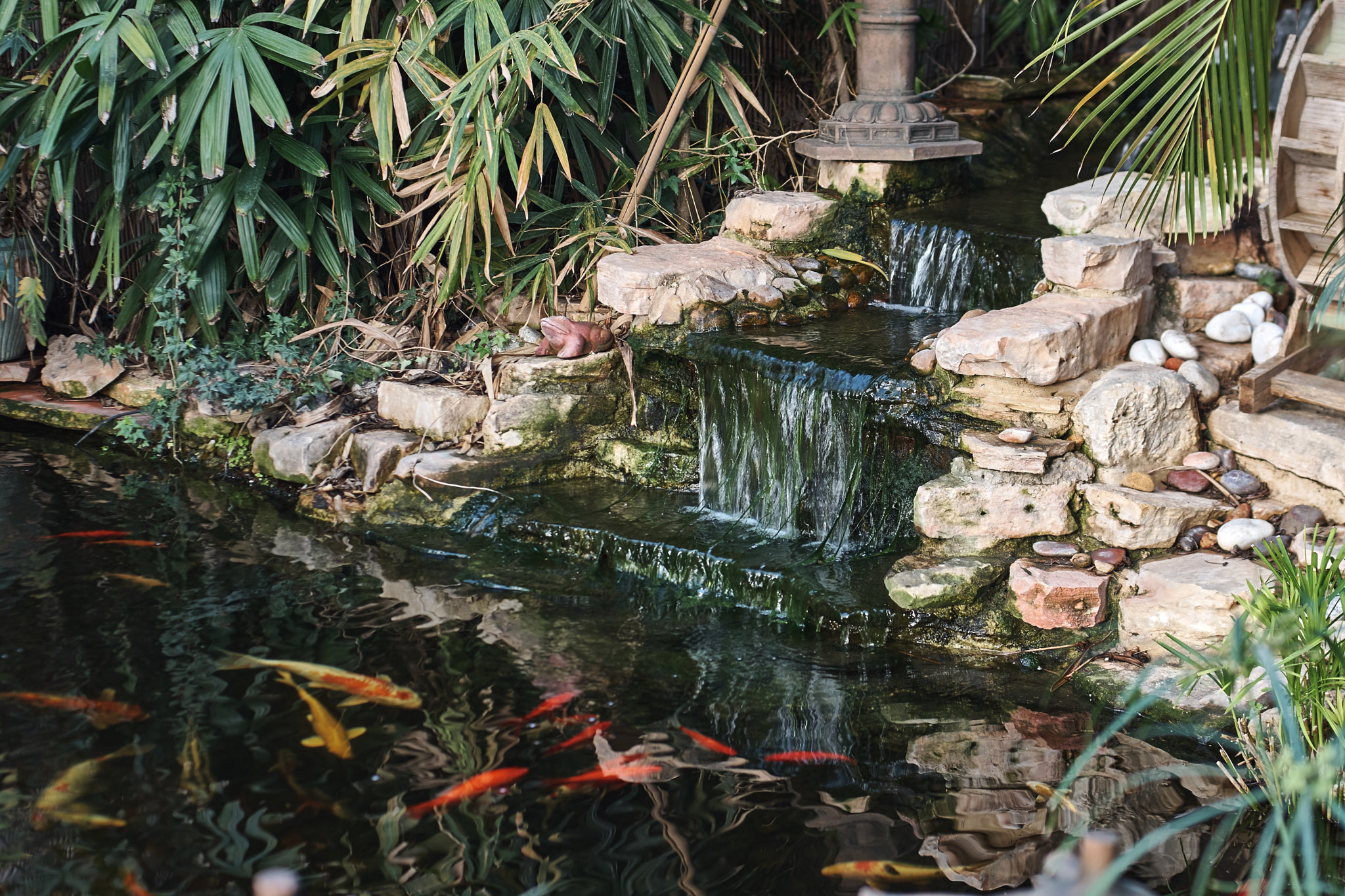 Nikon AF Nikkor 50mm F1.4D sample photo. Pond photography