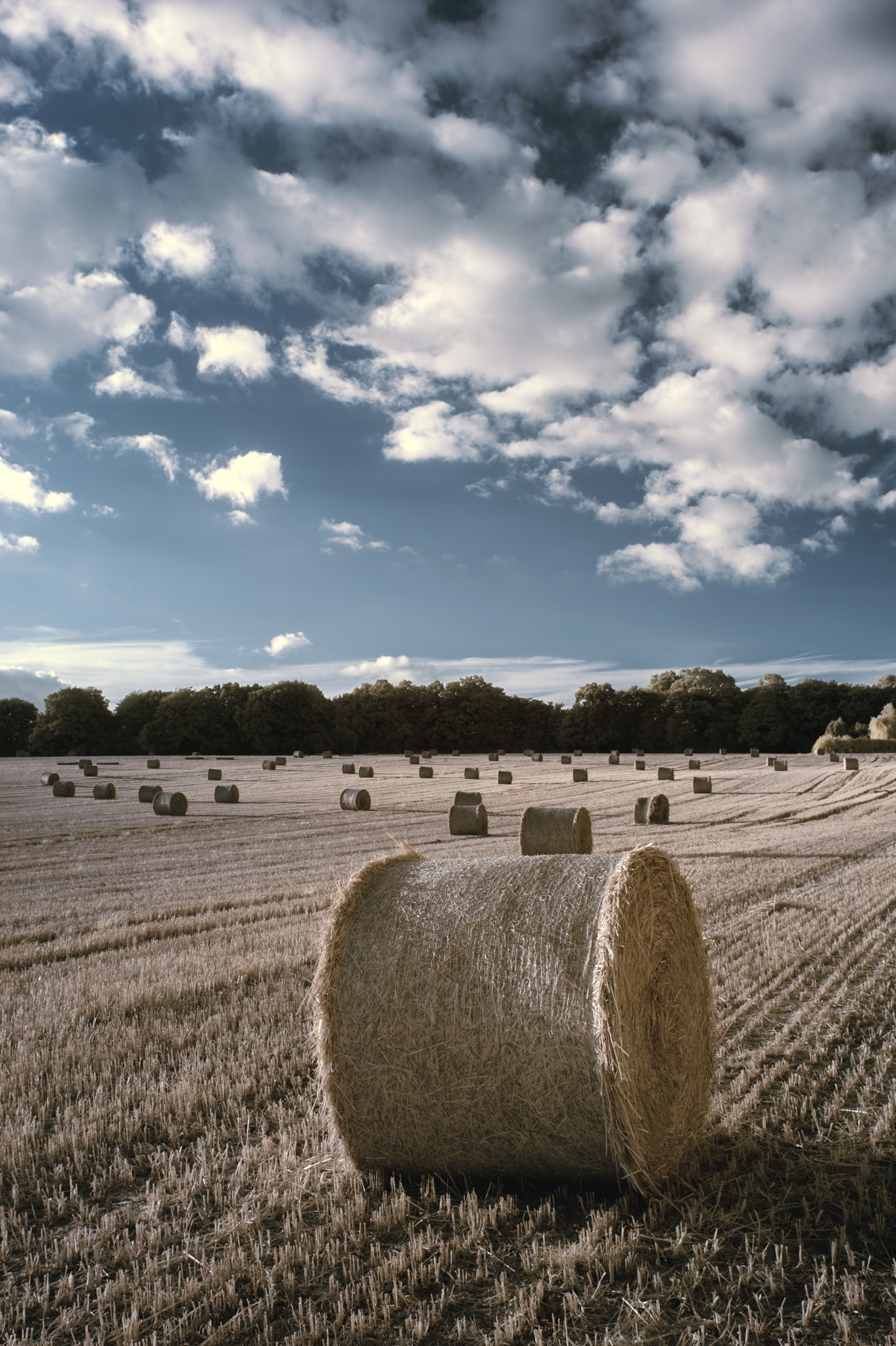 Nikon D700 sample photo. Beautiful countryside landscape  infrared image of hay bales in photography