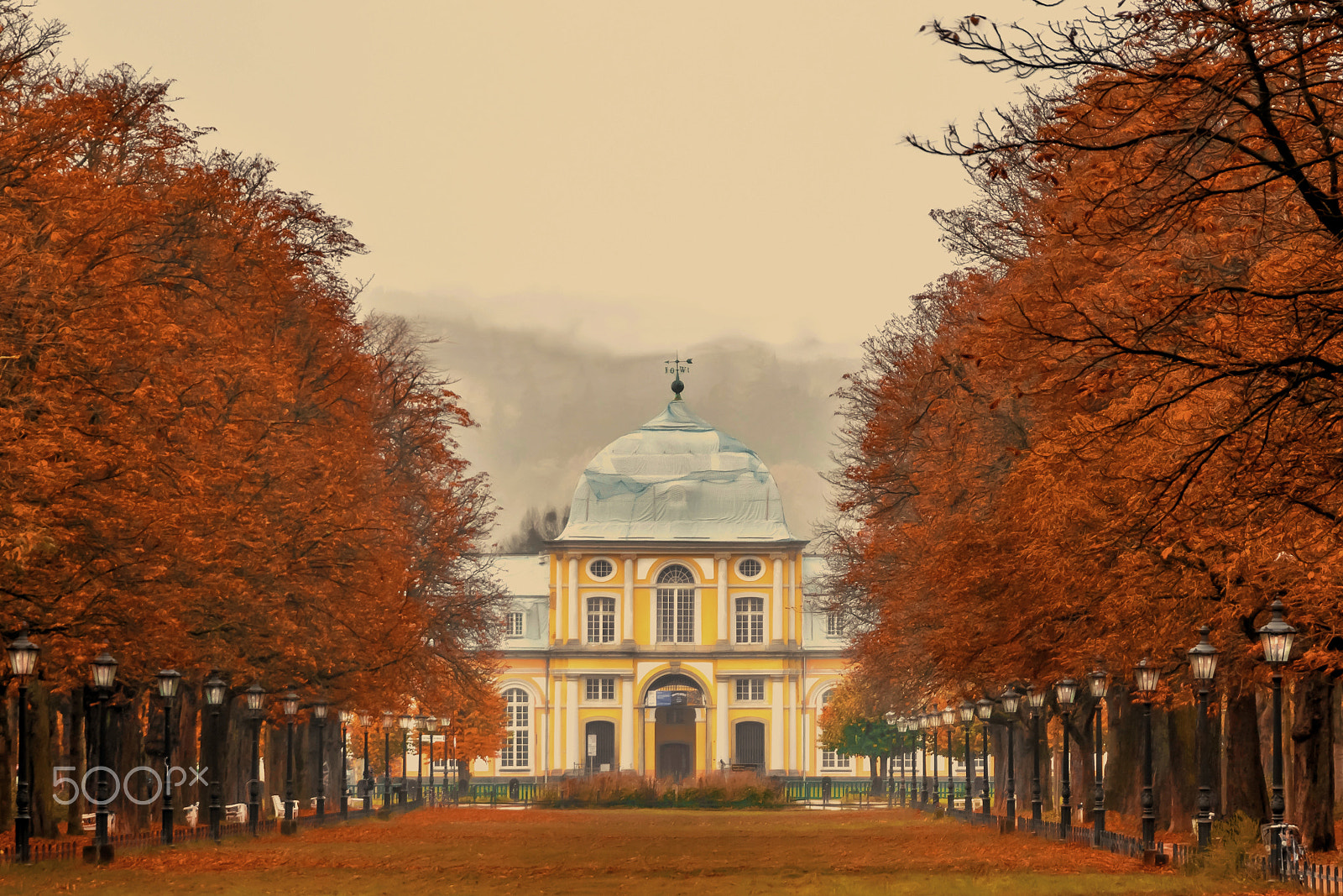Sigma 24-105mm f/4 DG OS HSM | A sample photo. Bonn - autumn (herbst) poppelsdorfer allee photography