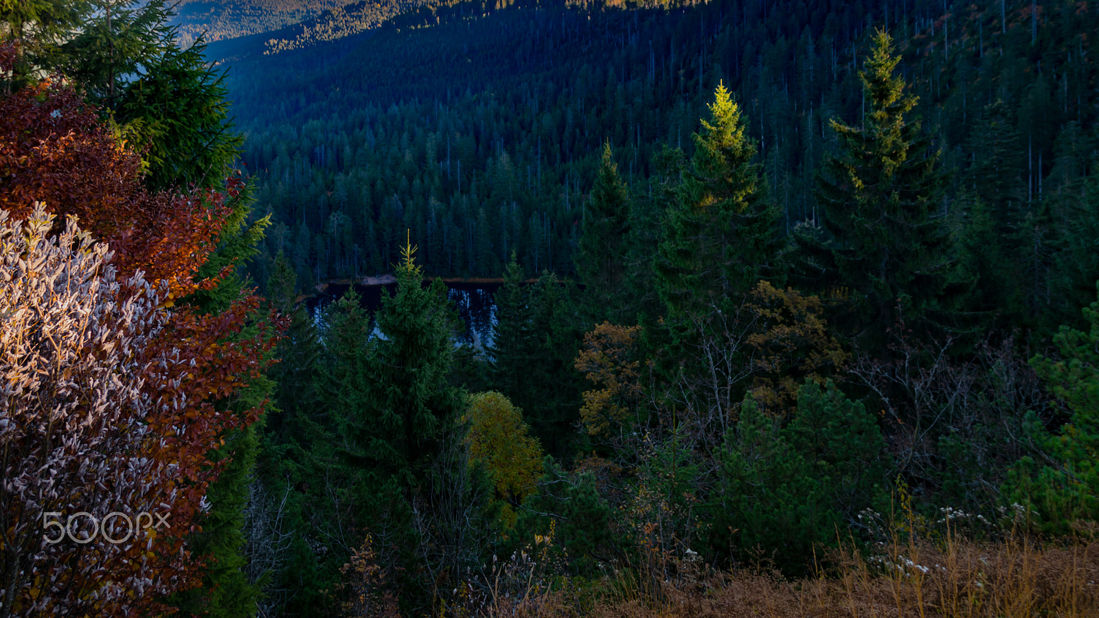 Sigma 18-250mm F3.5-6.3 DC Macro OS HSM sample photo. Wilder see – hornisgrinde photography
