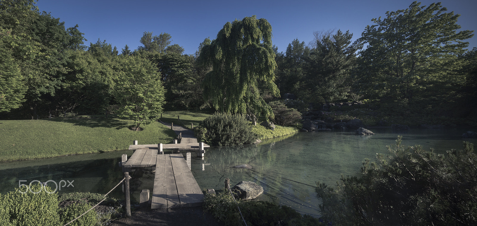 Olympus M.Zuiko Digital 14-42mm F3.5-5.6 II R sample photo. Botanical garden of montreal photography