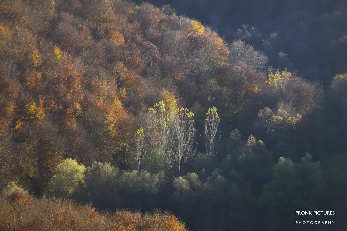 Canon EOS-1D Mark IV sample photo. Zumberak autumn moods photography