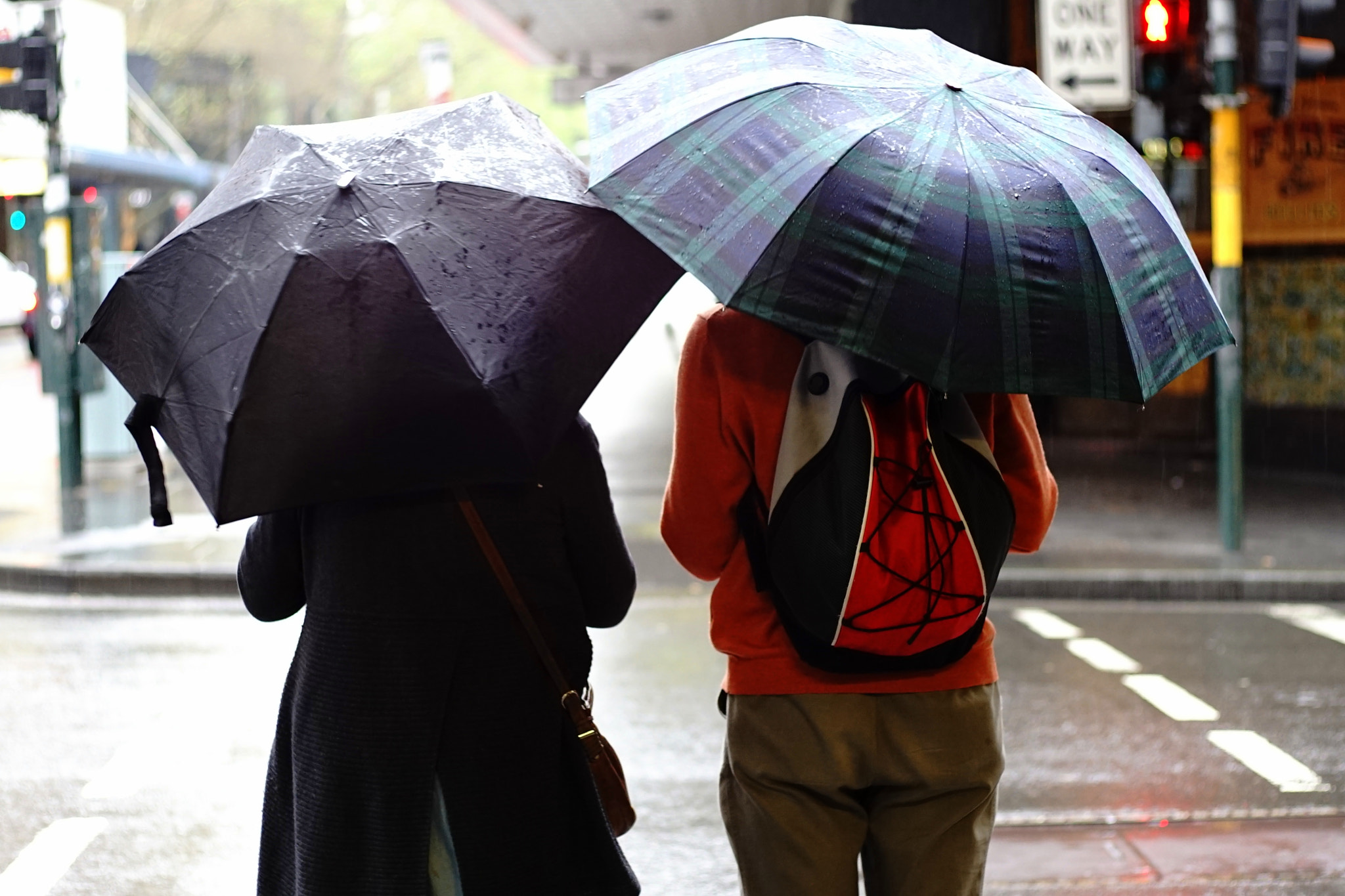 Sony a7 II sample photo. Rain photography