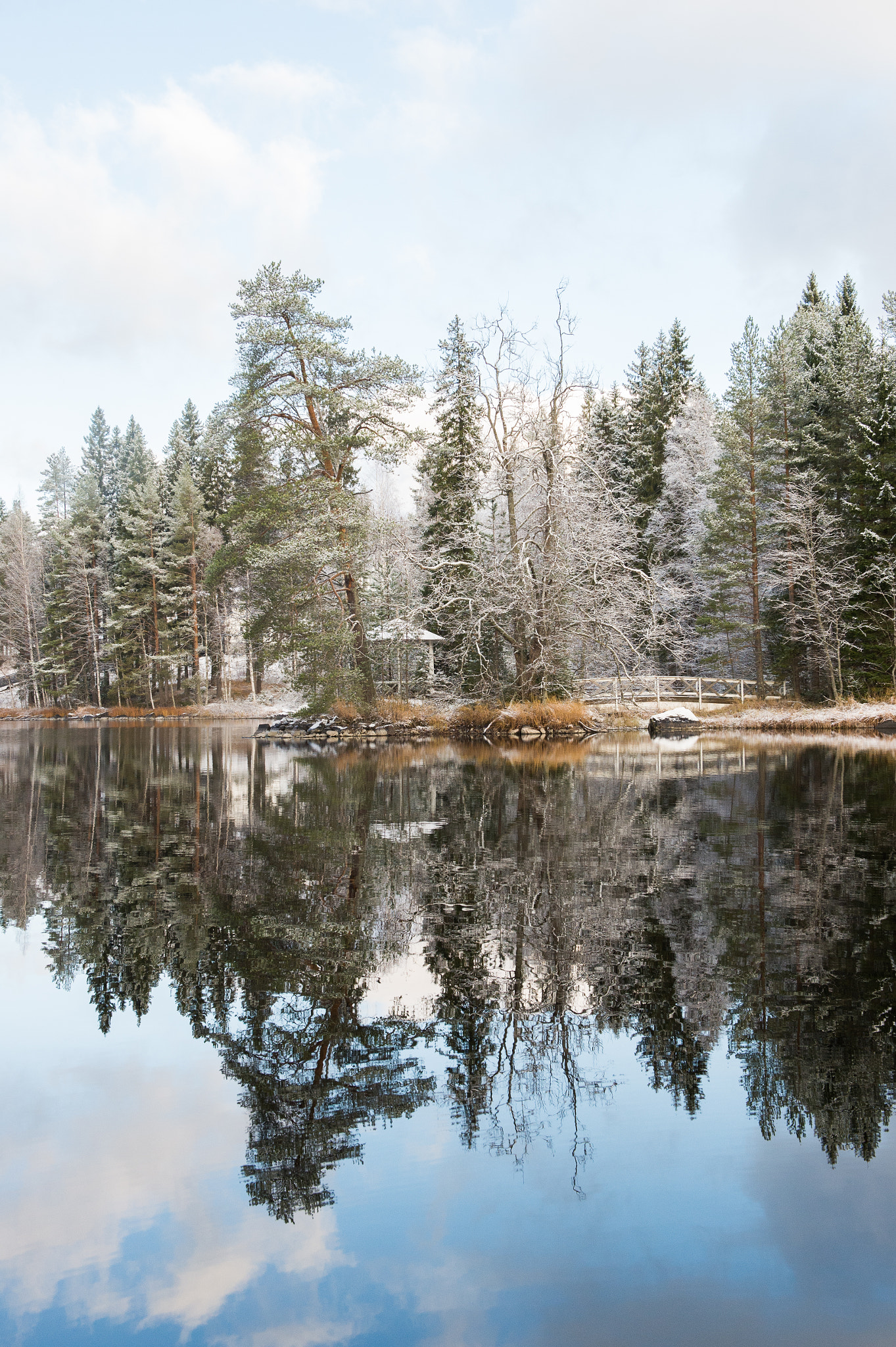 Nikon Df sample photo. Wouldn't you love this? photography