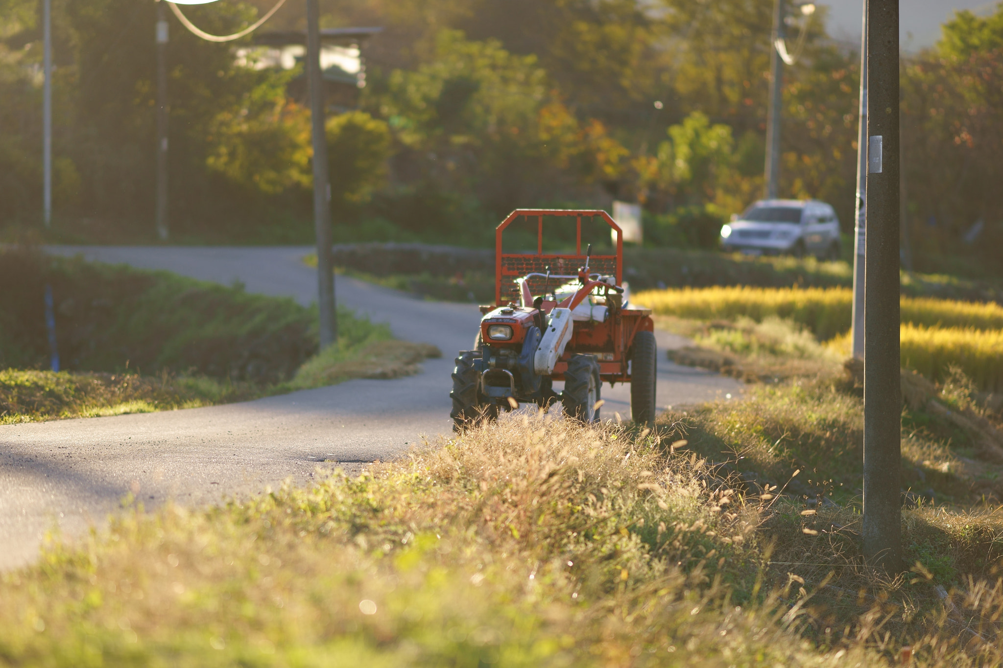 Sony a7 II + Sony Sonnar T* 135mm F1.8 ZA sample photo