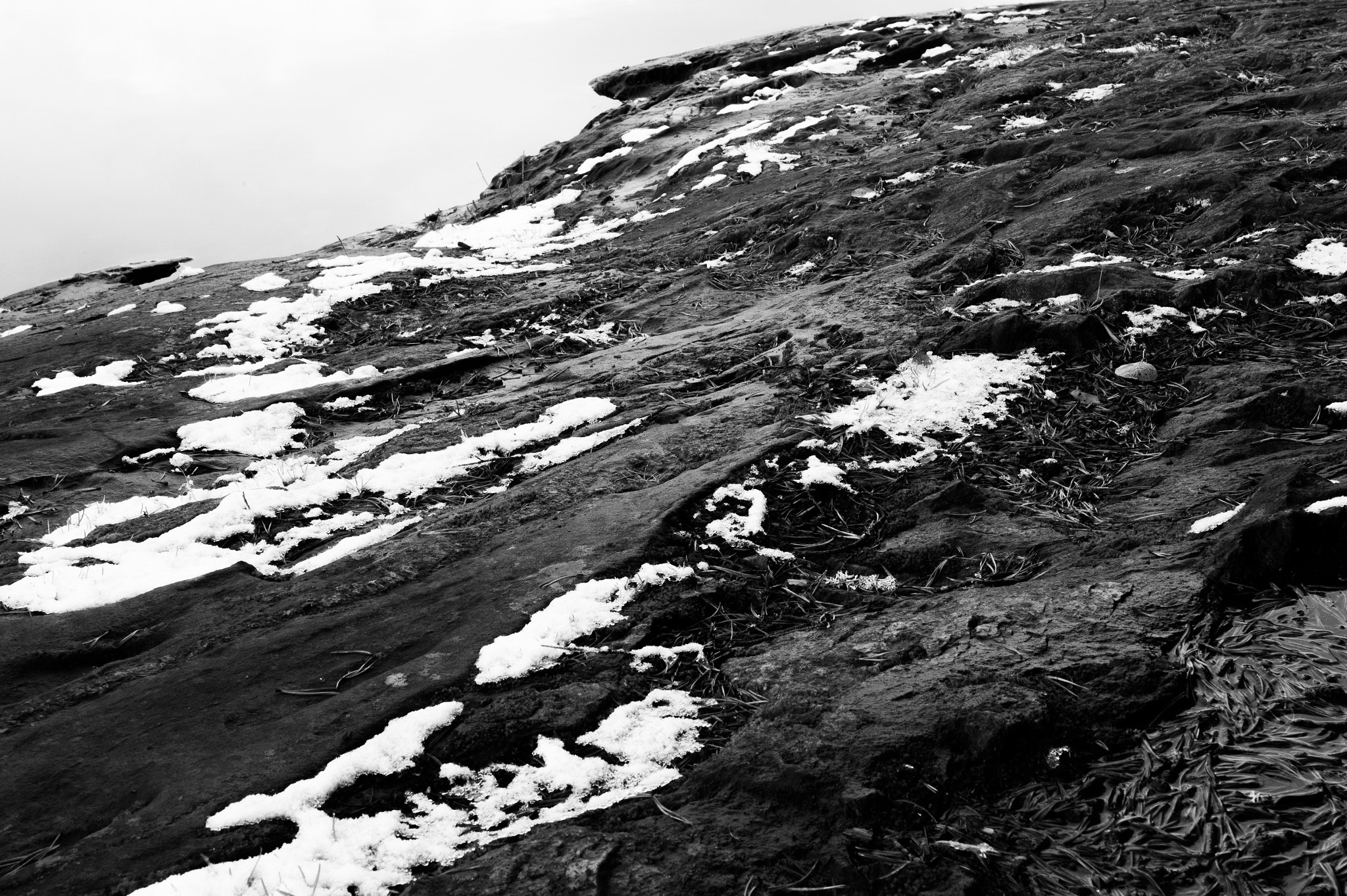 Nikon Df sample photo. Shoreline photography