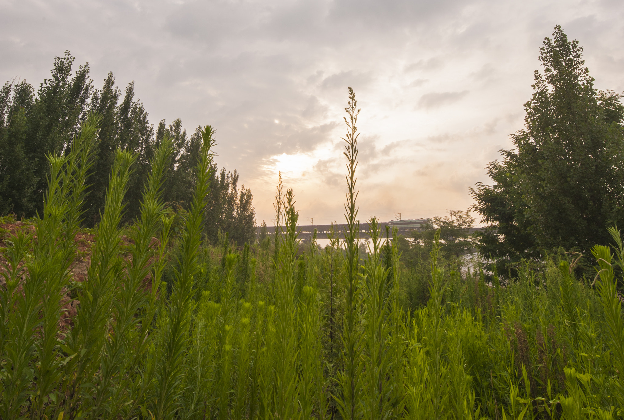 Tamron SP 15-30mm F2.8 Di VC USD sample photo. Through photography