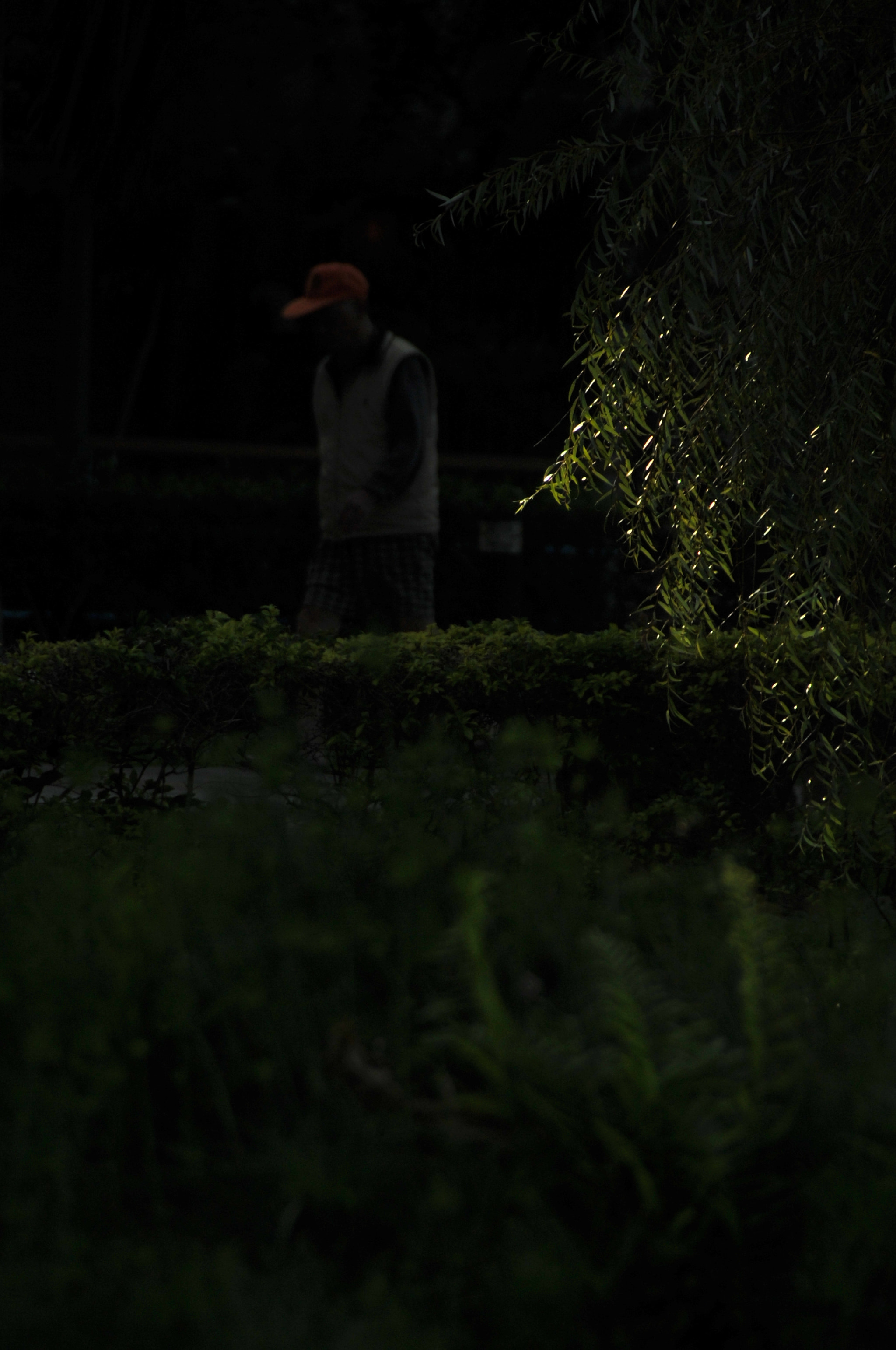 Nikon D3S sample photo. .. photography