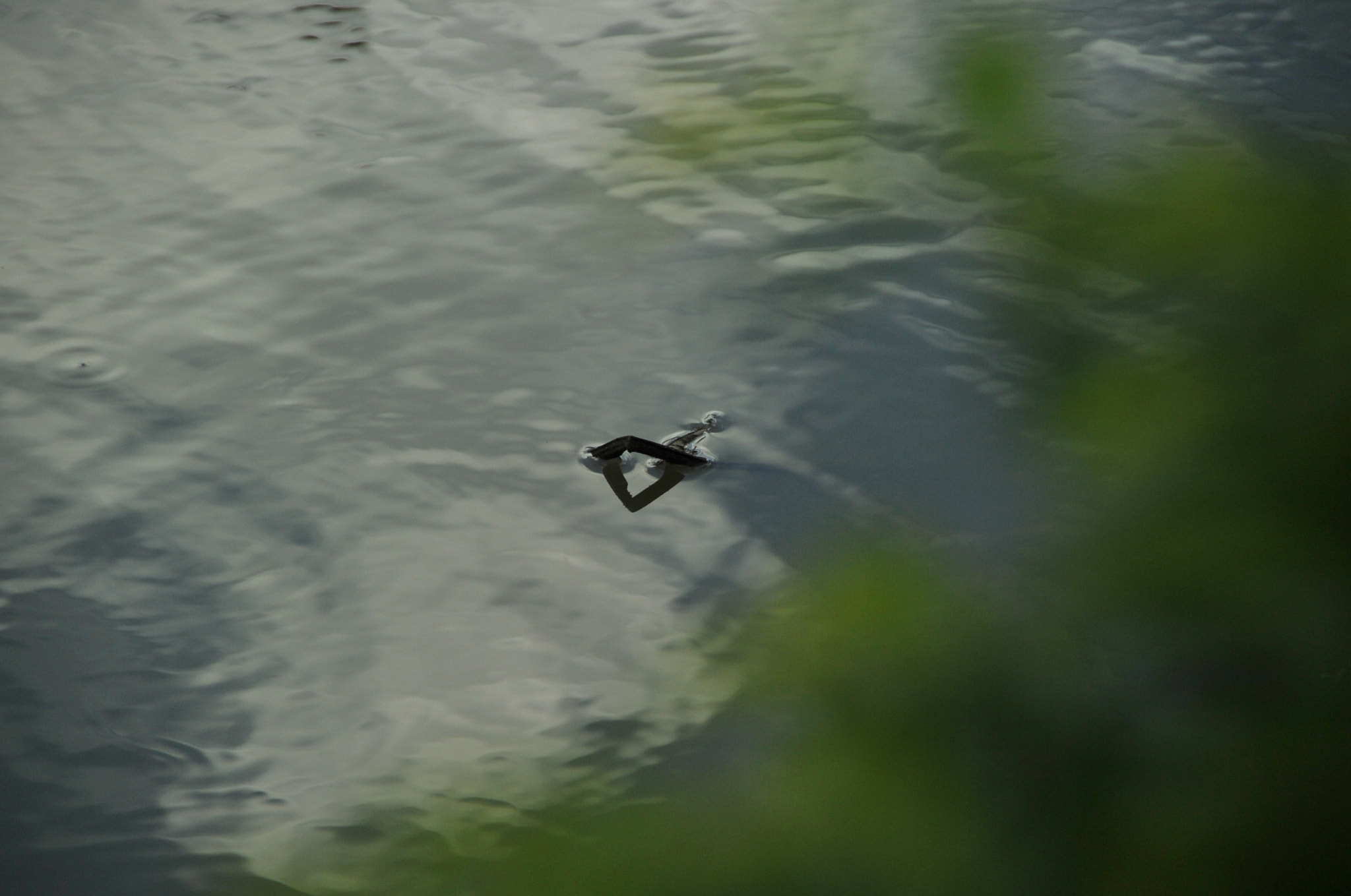 Nikon D3S sample photo. .. photography