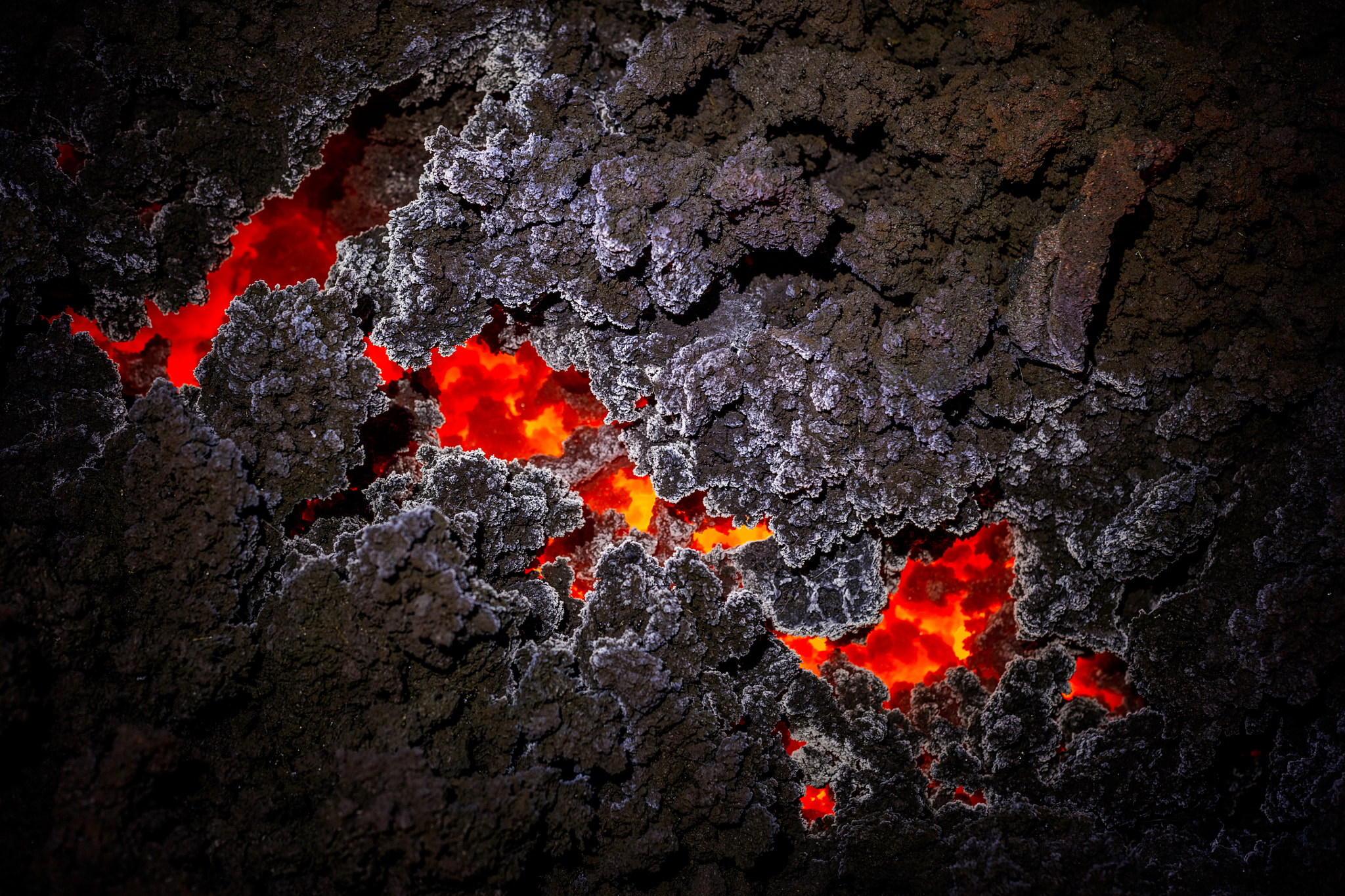 Canon EOS 5DS + Canon EF 50mm F1.4 USM sample photo. Crystallization!!!! photography