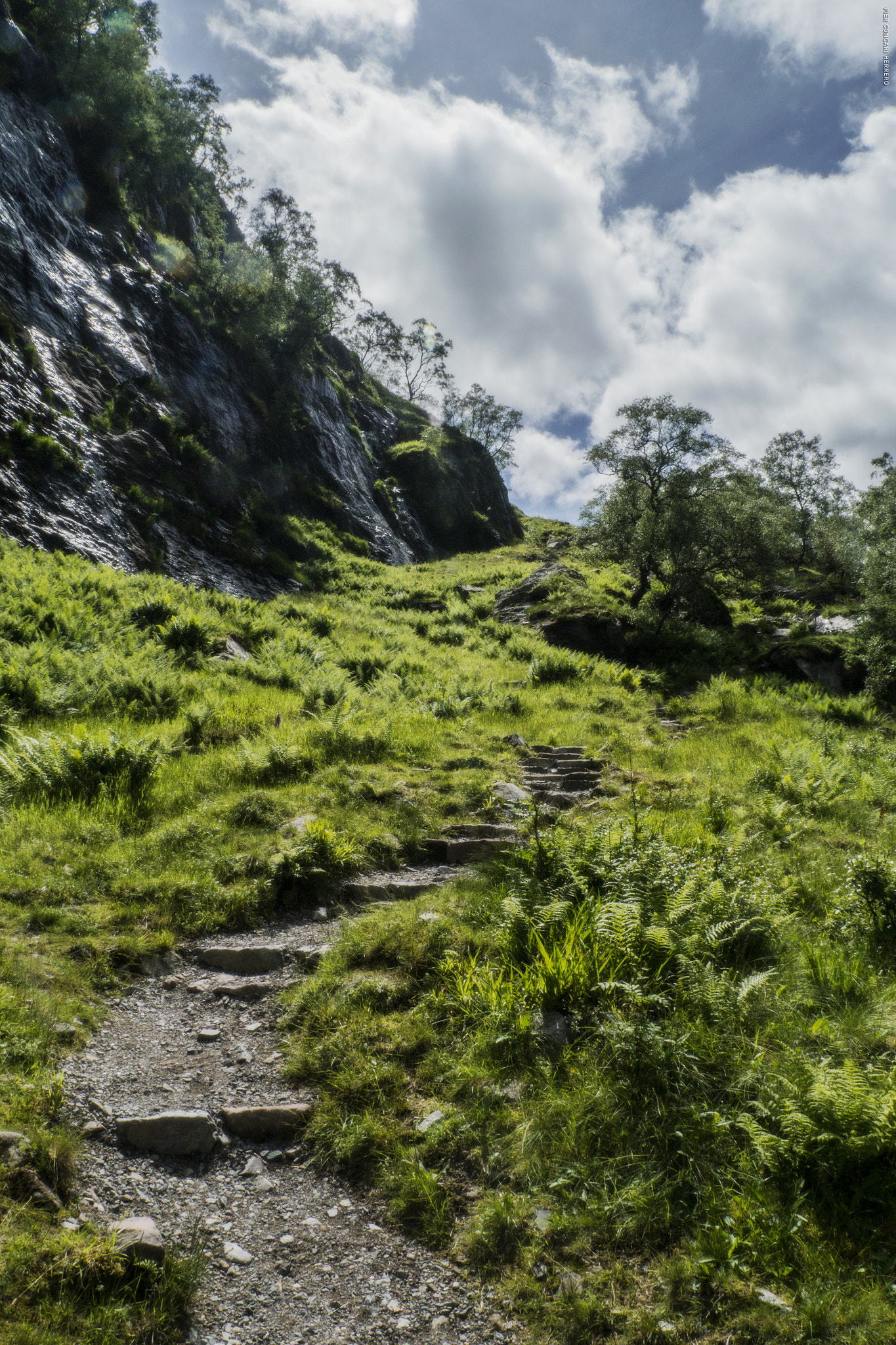 Panasonic Lumix DMC-GH2 sample photo. Lost path photography