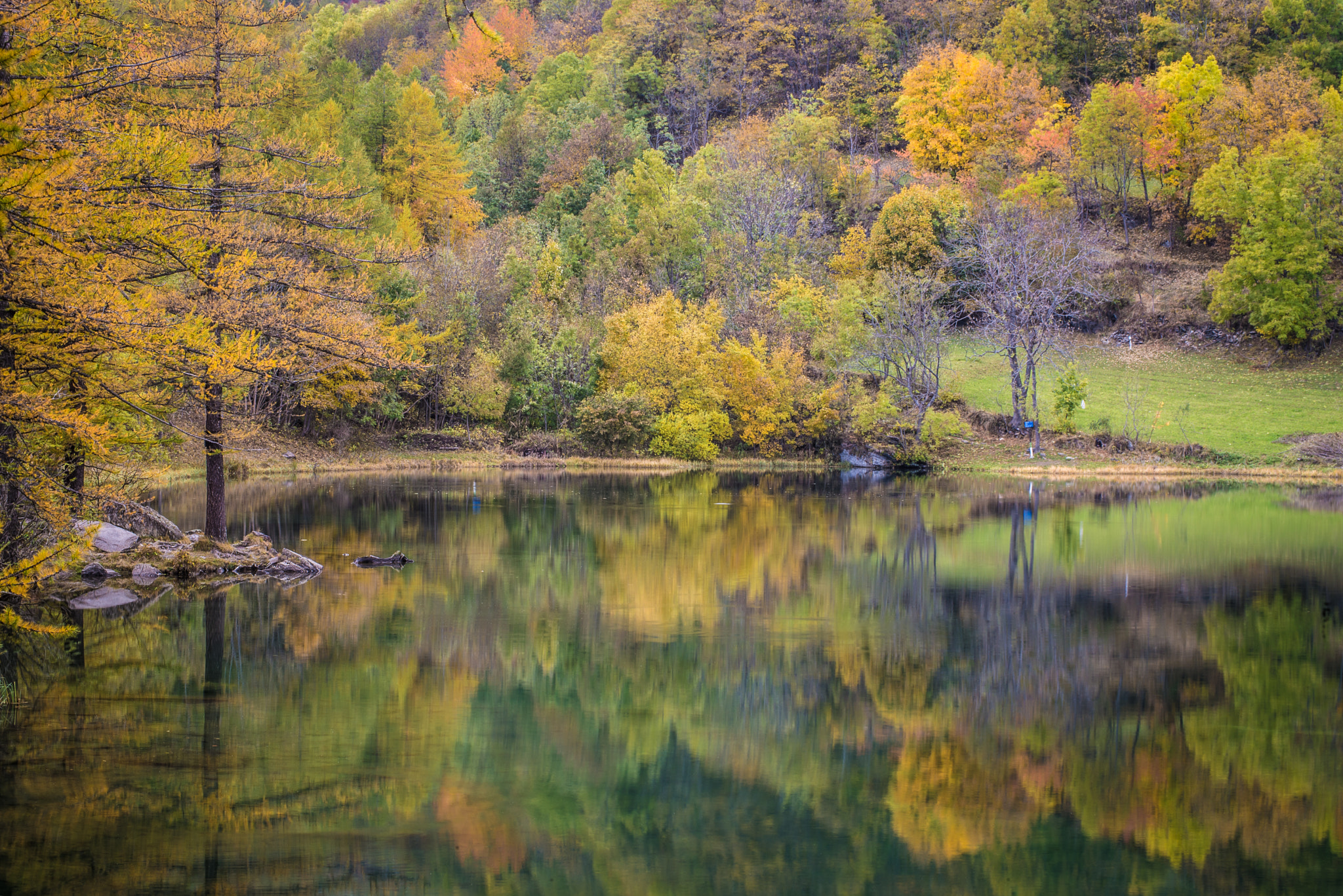 Nikon D600 sample photo. Riflesso photography