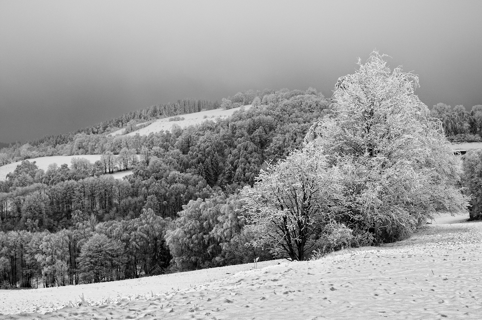 Nikon D300 + Sigma 24-70mm F2.8 EX DG Macro sample photo. Winter view photography