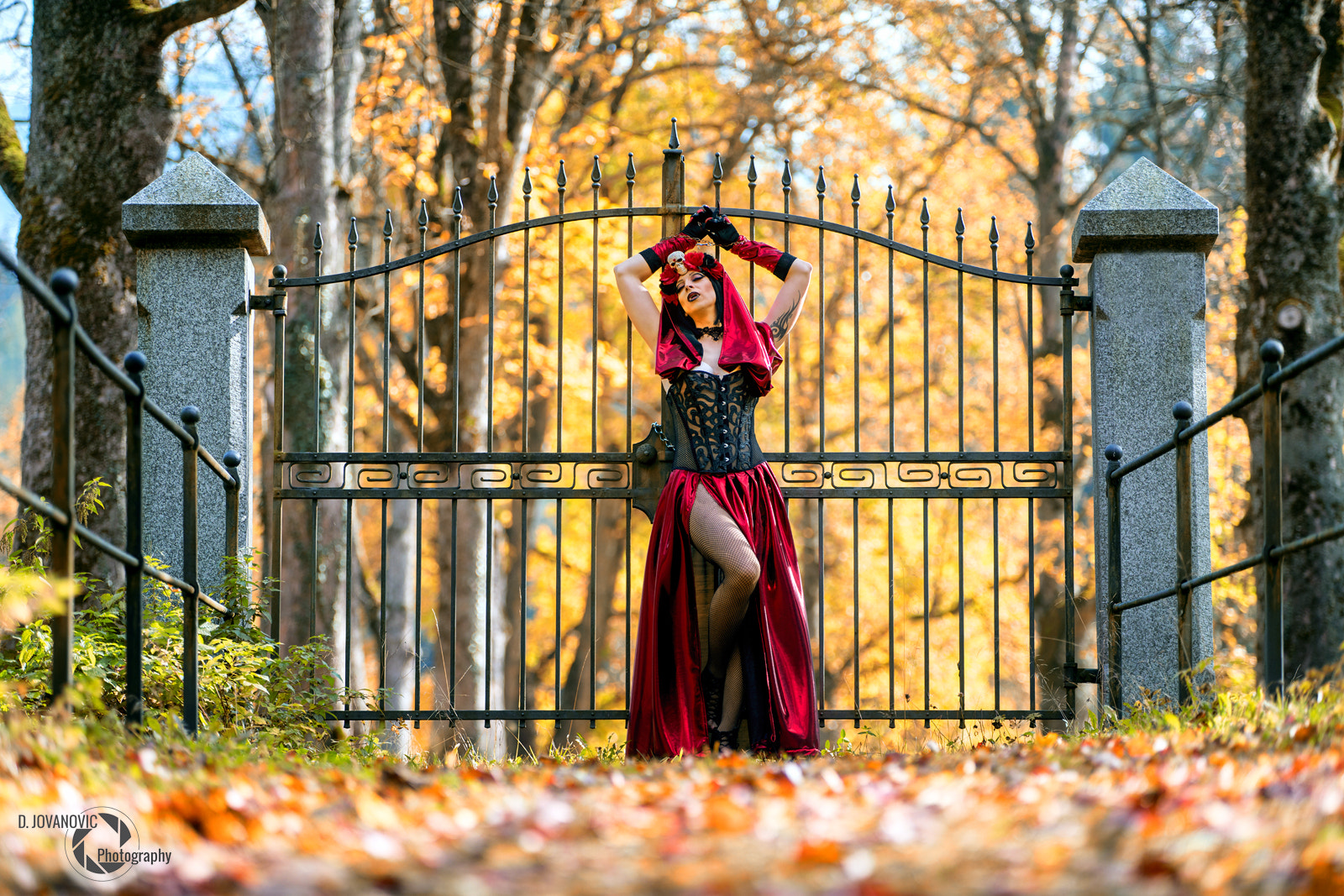 Minolta/Sony AF 70-200mm F2.8 G sample photo. Fall photography