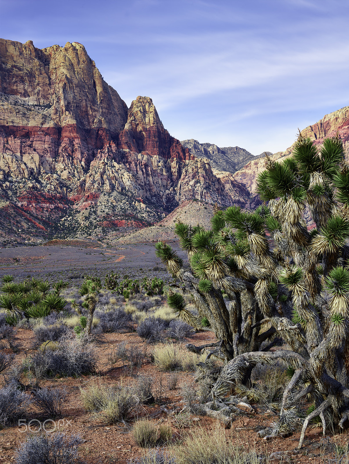 Phase One IQ180 + Schneider LS 80mm f/2.8 sample photo. Lv red rock canyon photography