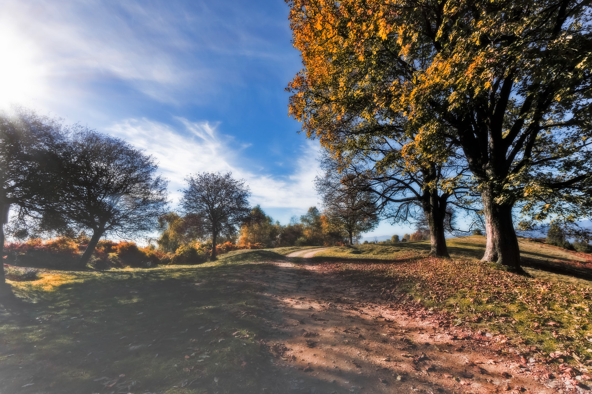 Sony Alpha a5000 (ILCE 5000) + Sony E 10-18mm F4 OSS sample photo. Beyond these autumn skies photography