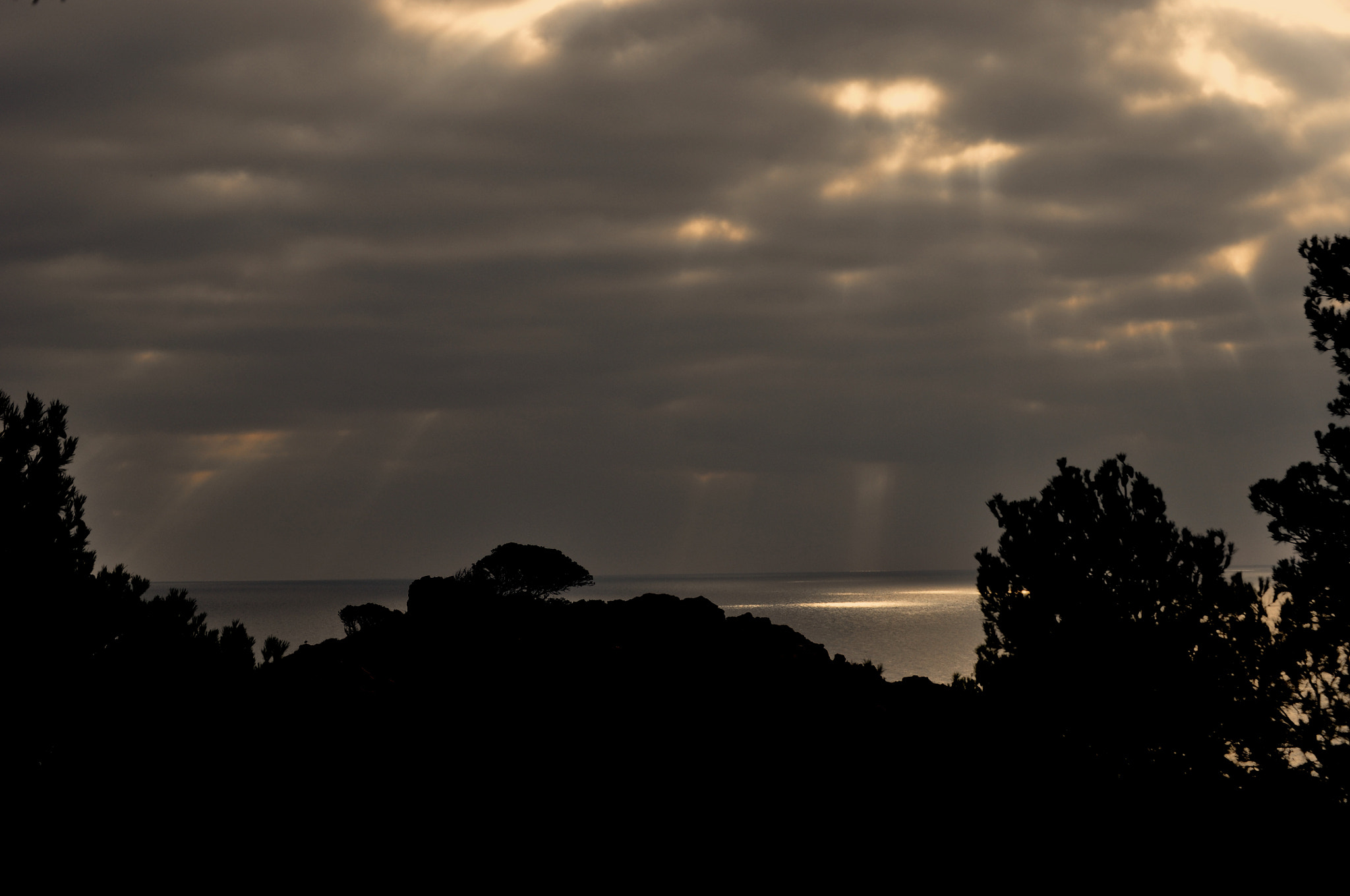 Nikon D5000 sample photo. Cel trencat 2 photography
