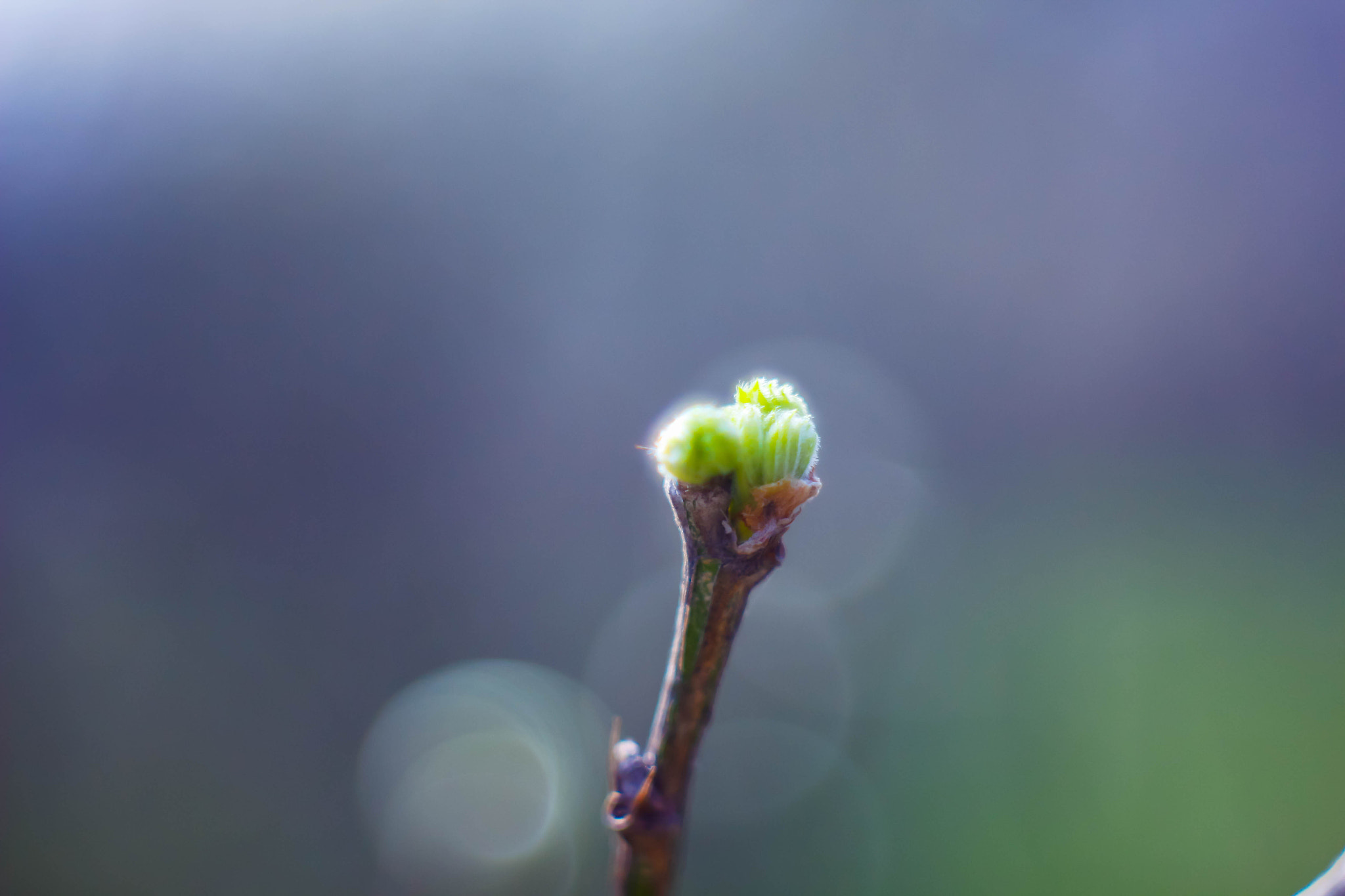 Canon EF 35-80mm f/4-5.6 sample photo. The unknown new world photography