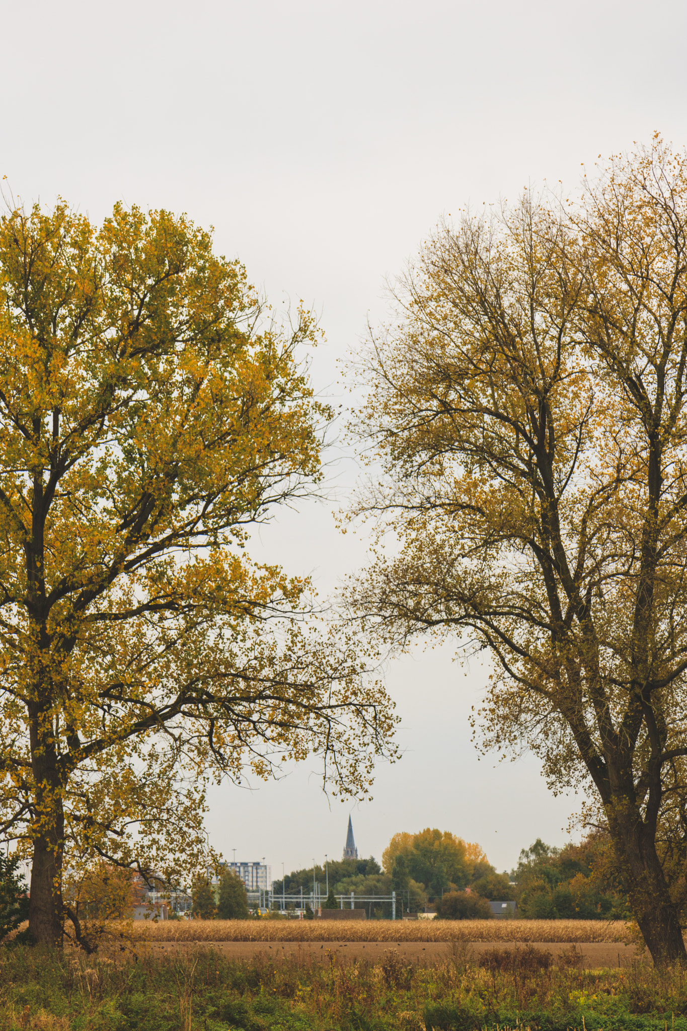 Canon EOS 750D (EOS Rebel T6i / EOS Kiss X8i) sample photo. Natural frame photography