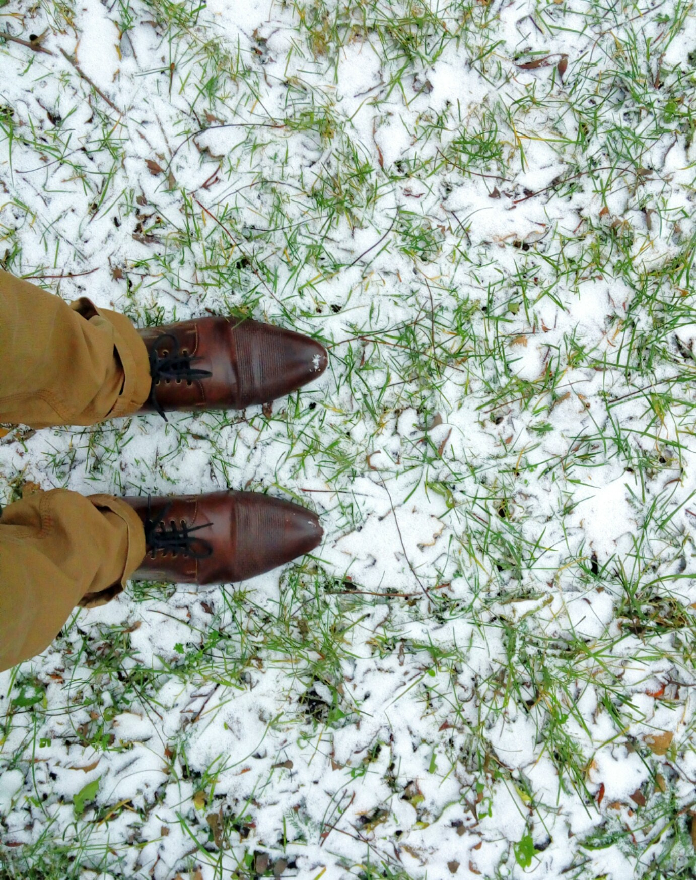 LG G Vista sample photo. Snow photography
